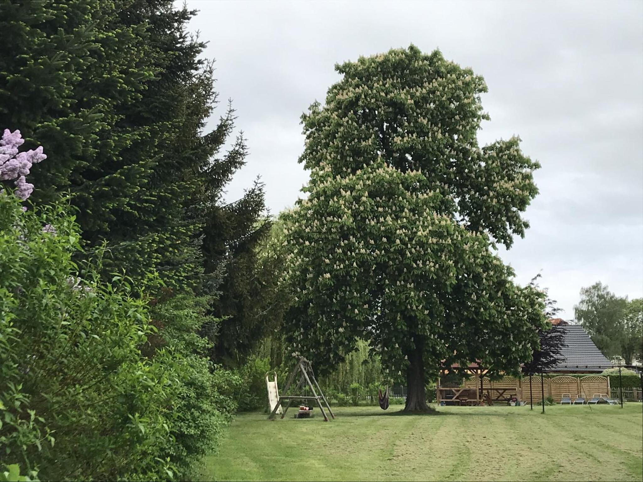 Familie Nahrstedt Parterre