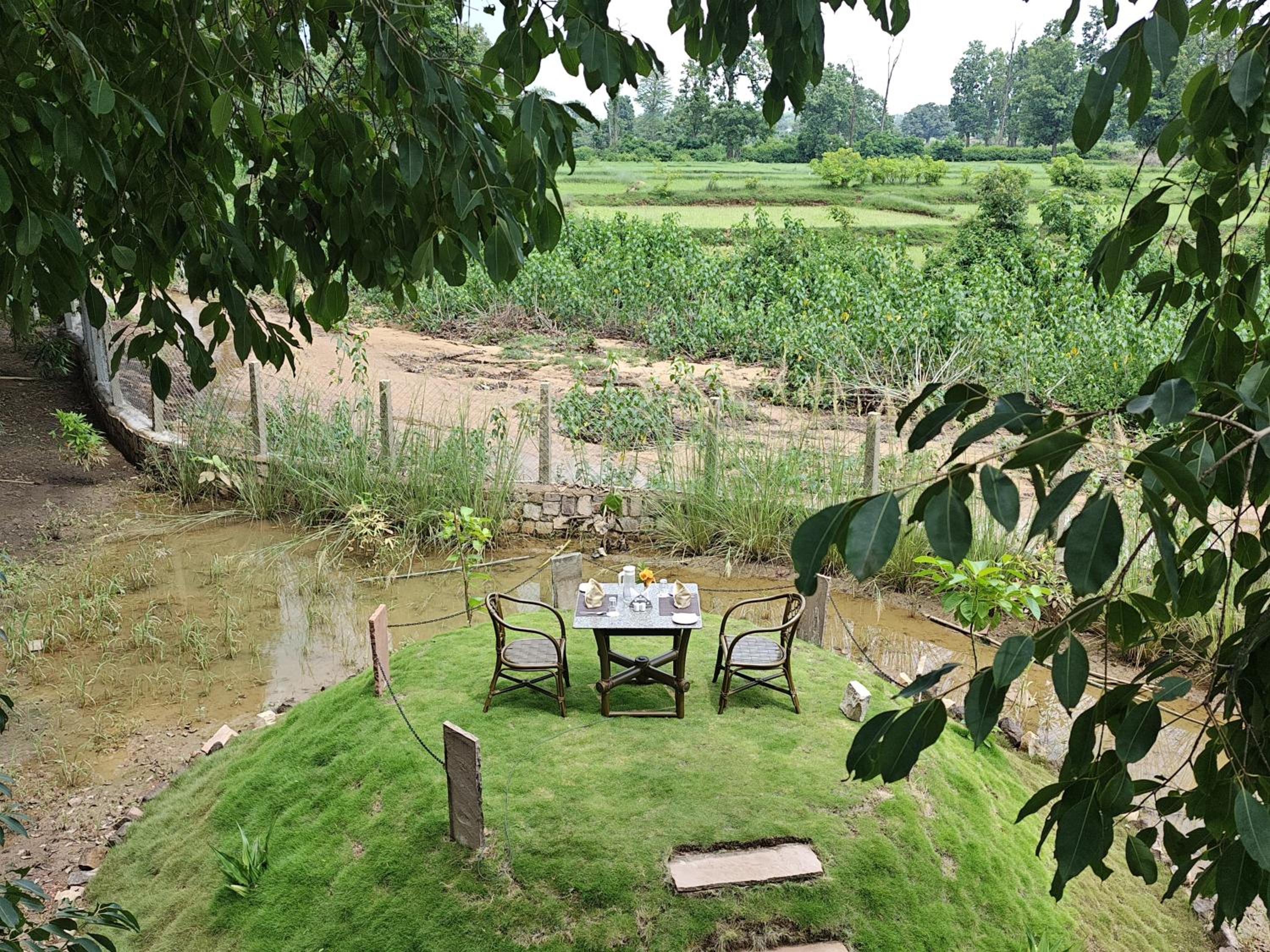 Tathastu Bandhavgarh