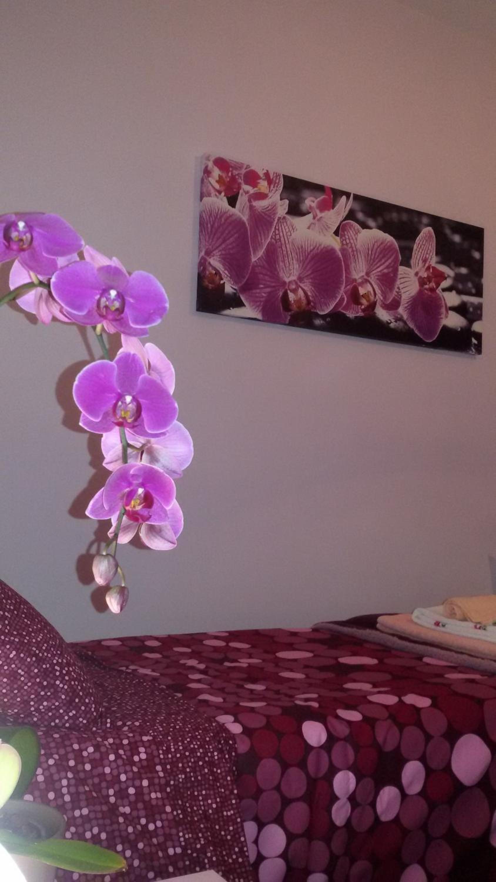 B&B Interno 8