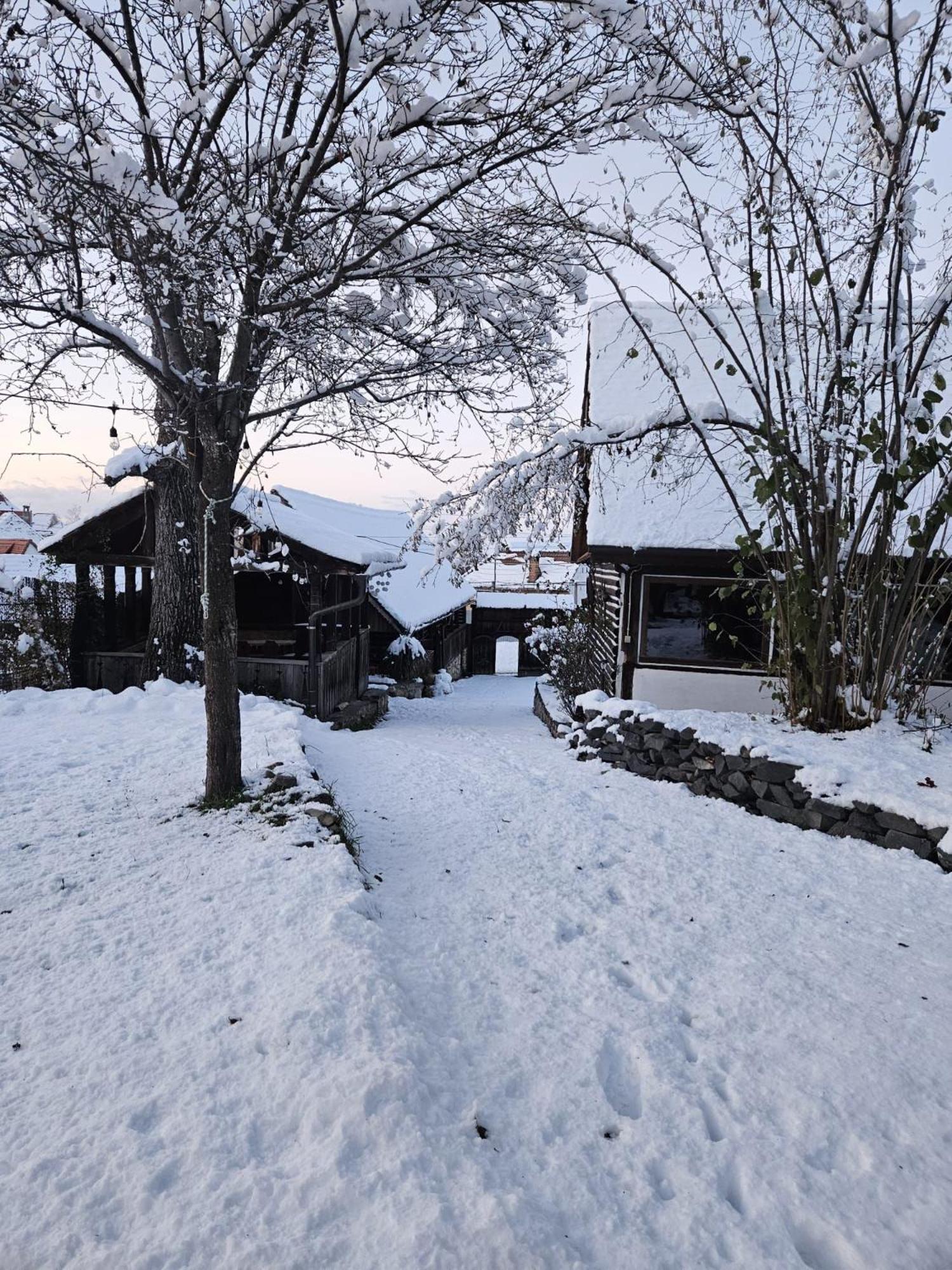 Casa Bunicului