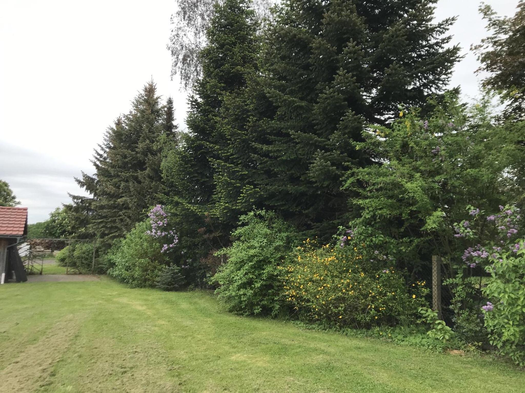 Familie Nahrstedt Wildblick