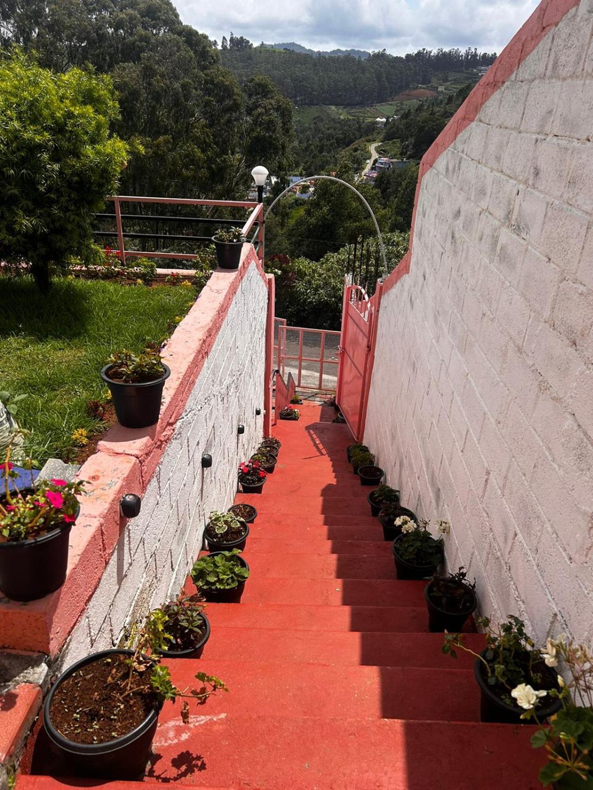 Memmsta Green Hill - Ooty view 3