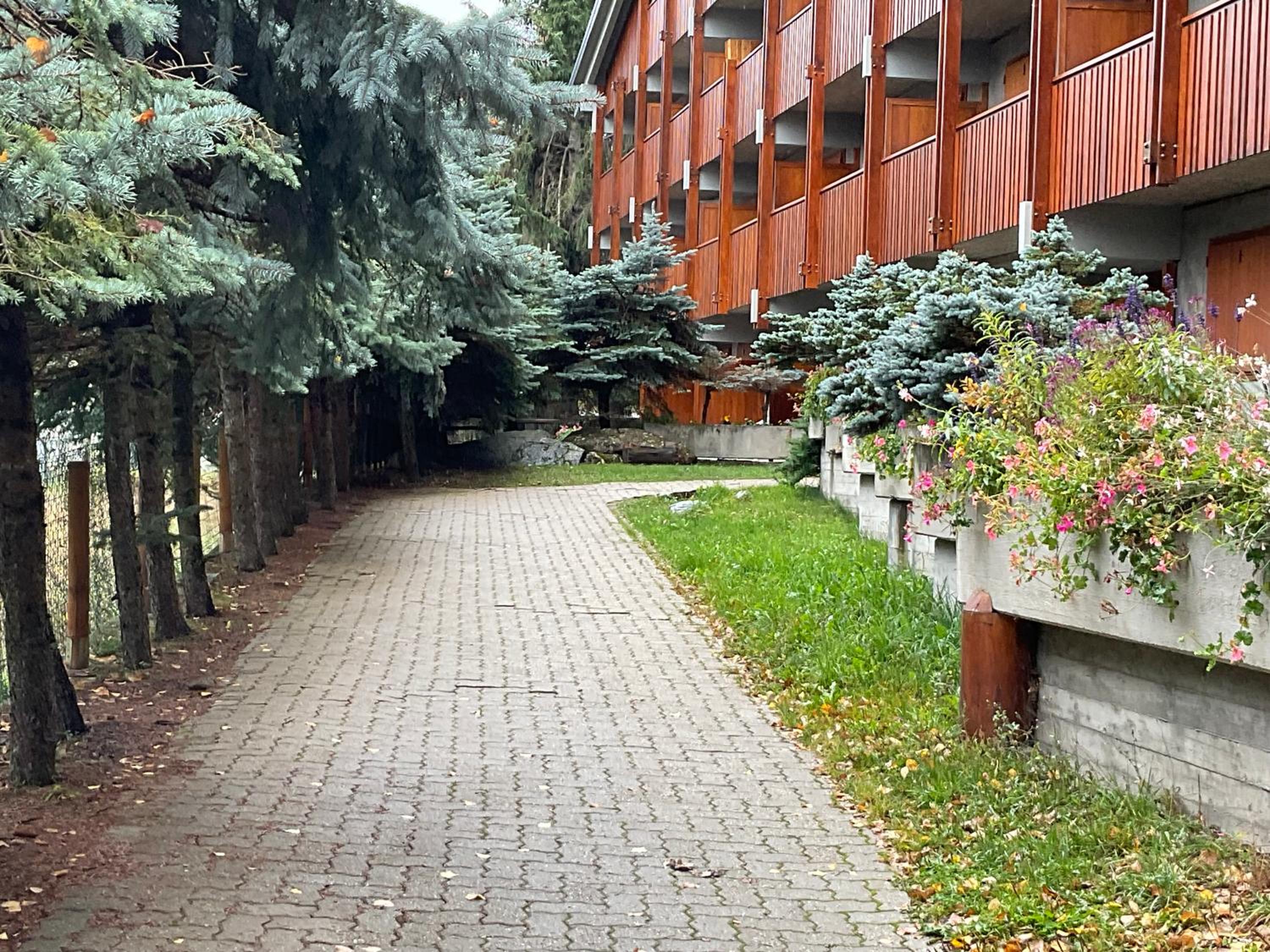 Photo 25