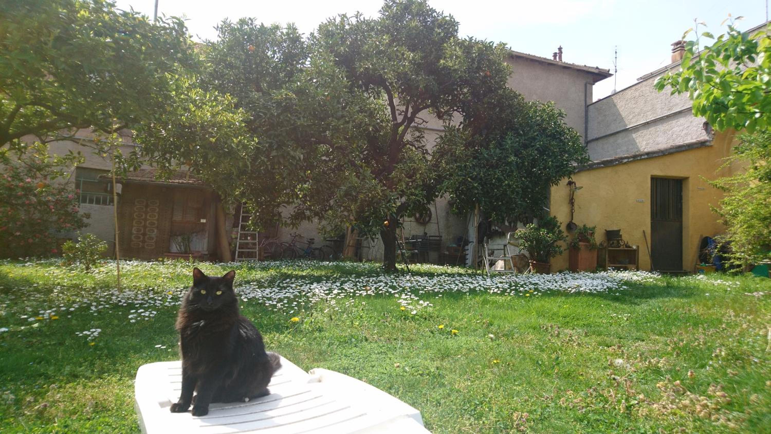 Oddi21 B&B
