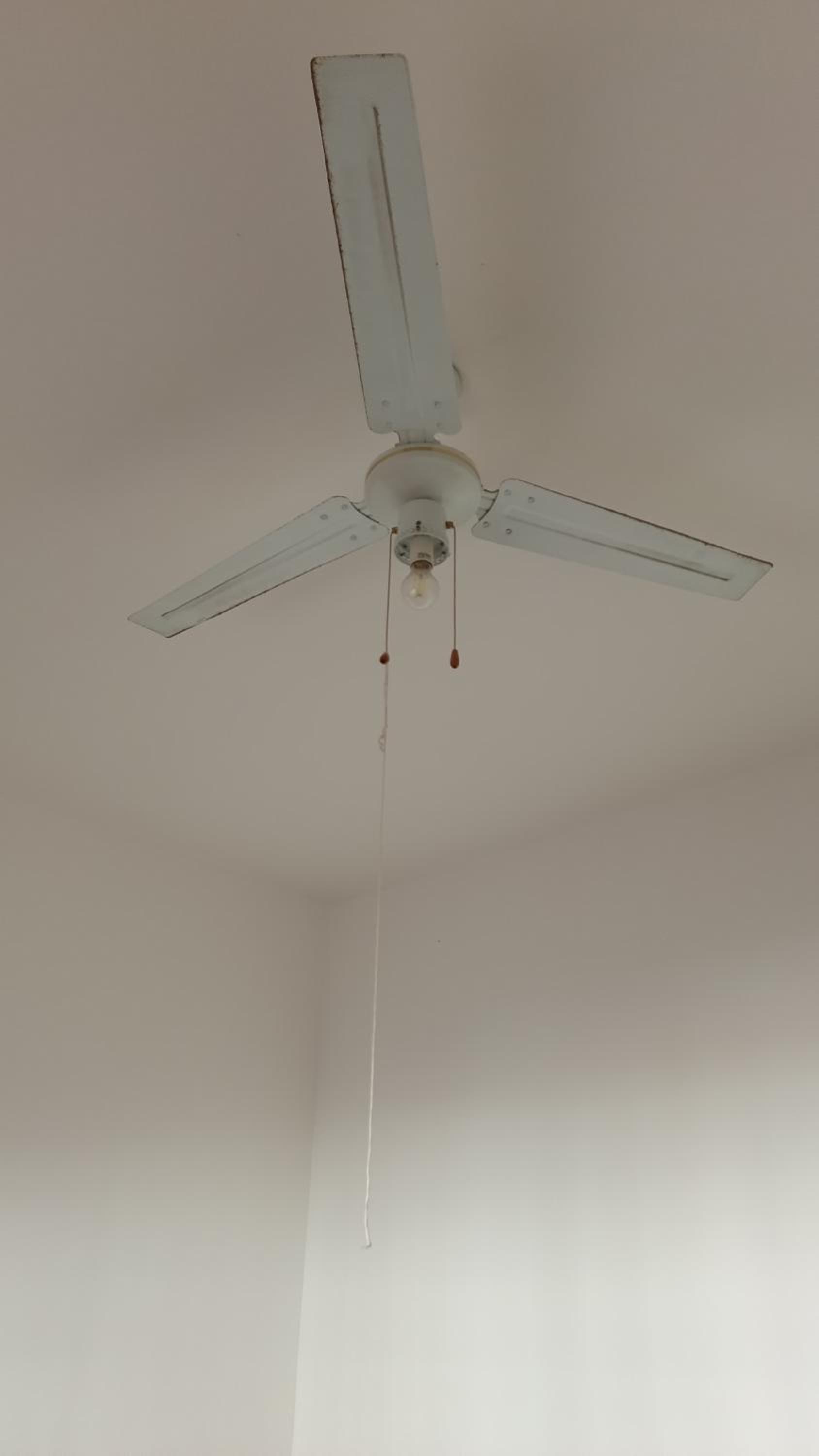 Photo 35