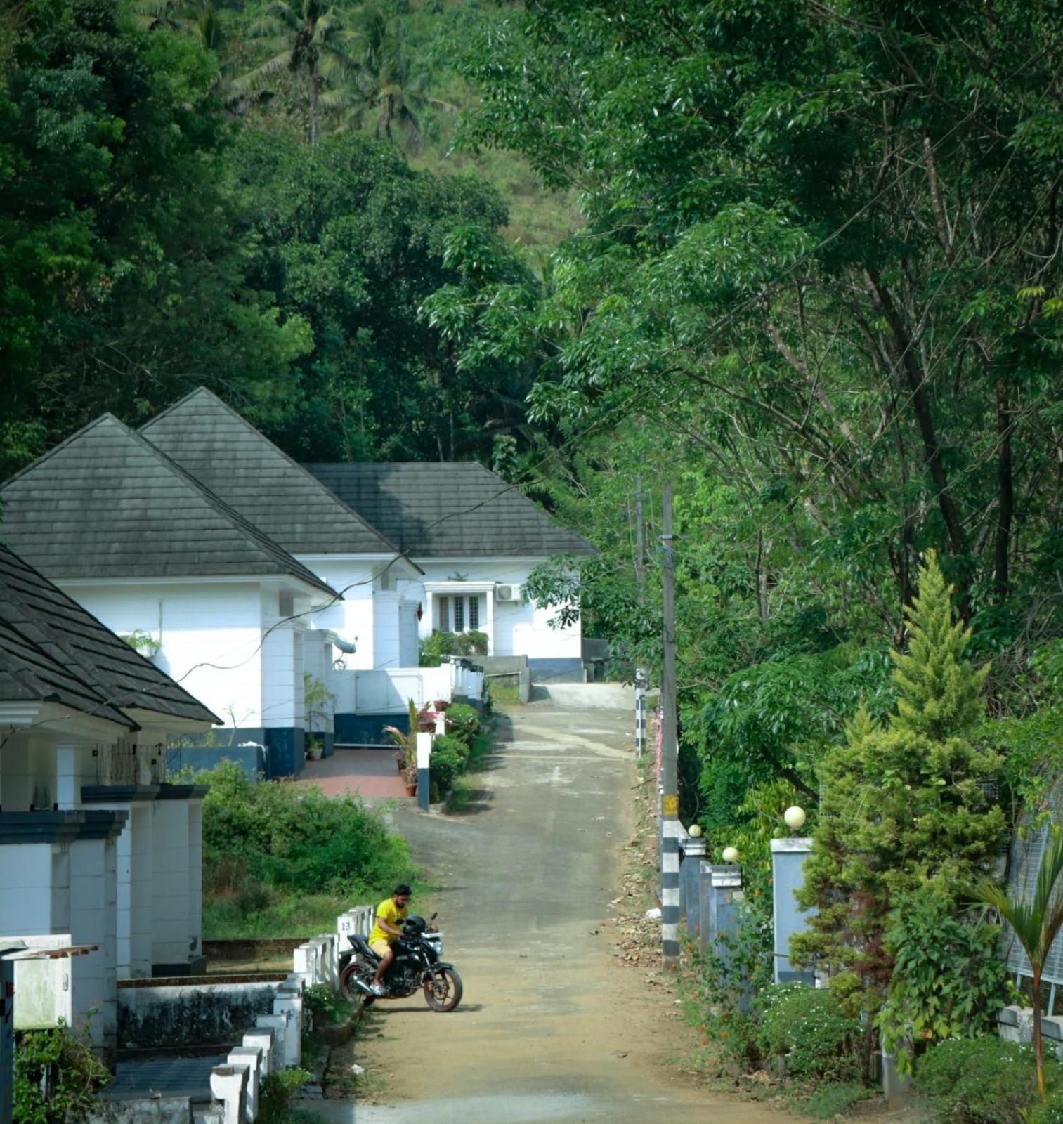 Photo 16