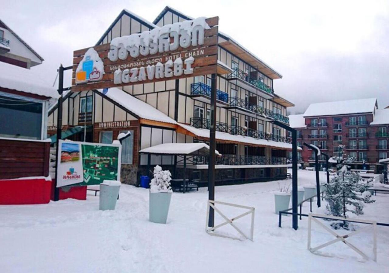 Bakuriani Holiday in Mgzavrebi