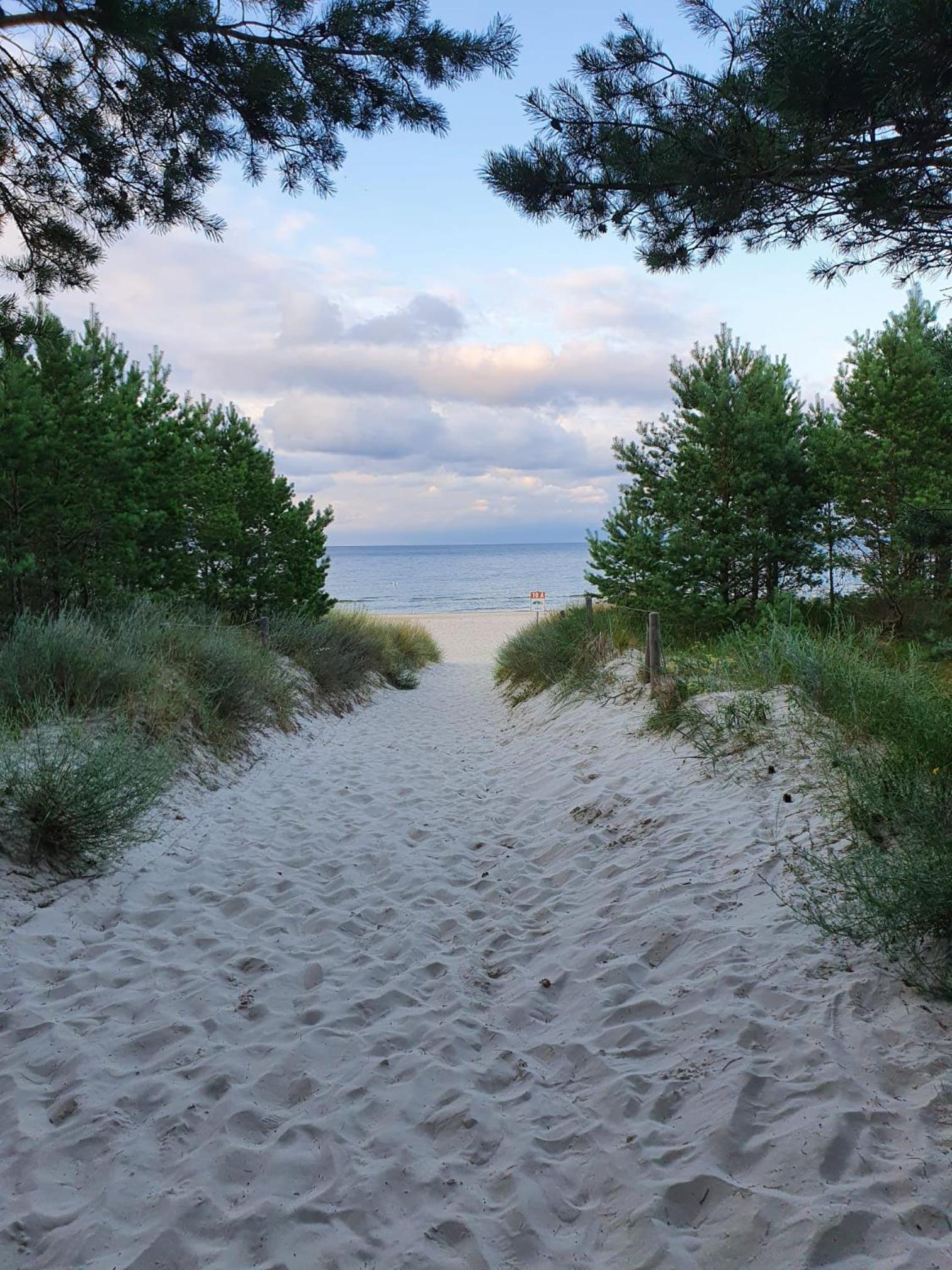 FeWo Wald & Düne