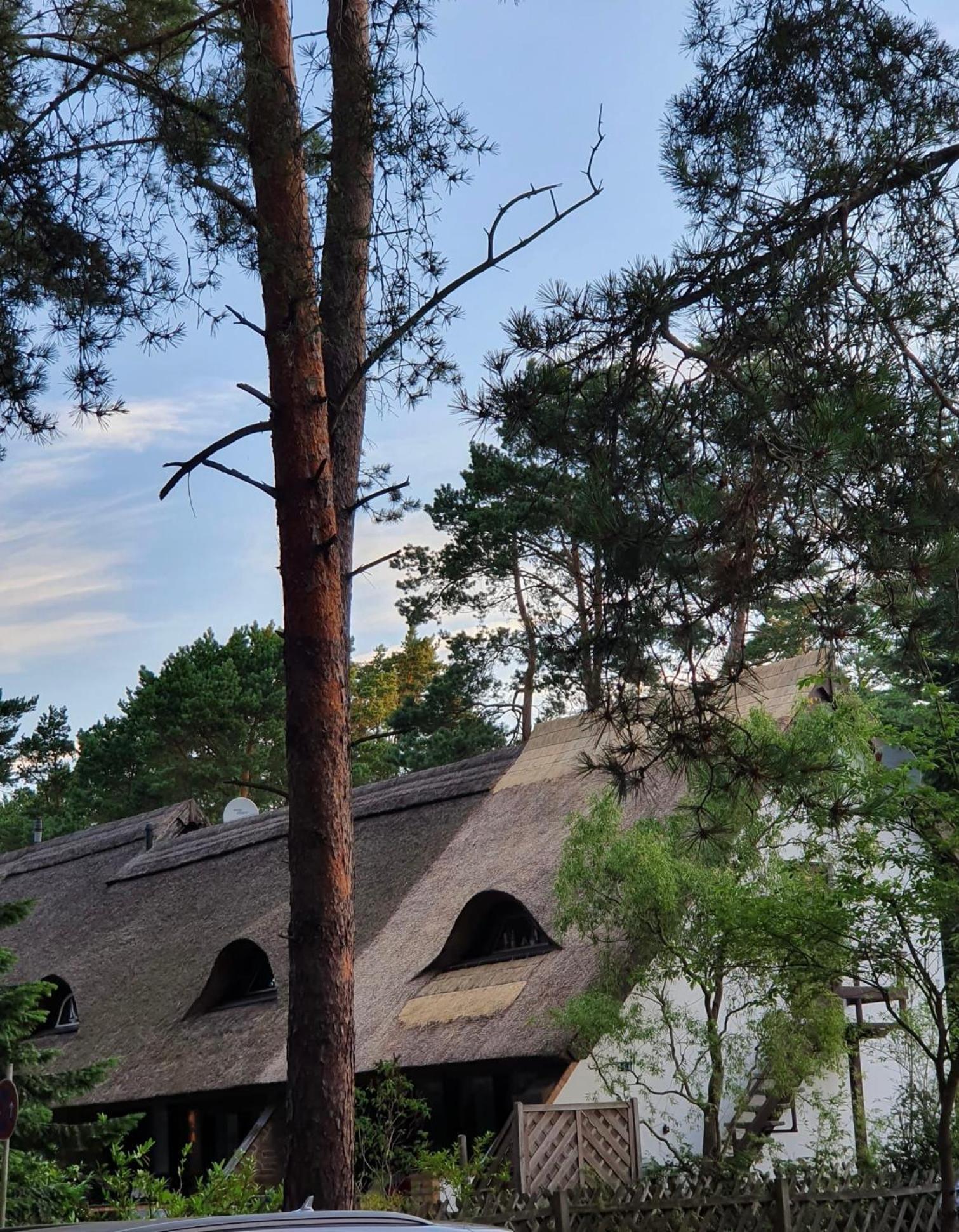 FeWo Wald & Düne