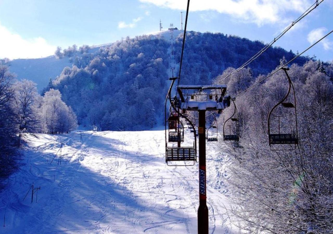 Bakuriani Holiday in Mgzavrebi