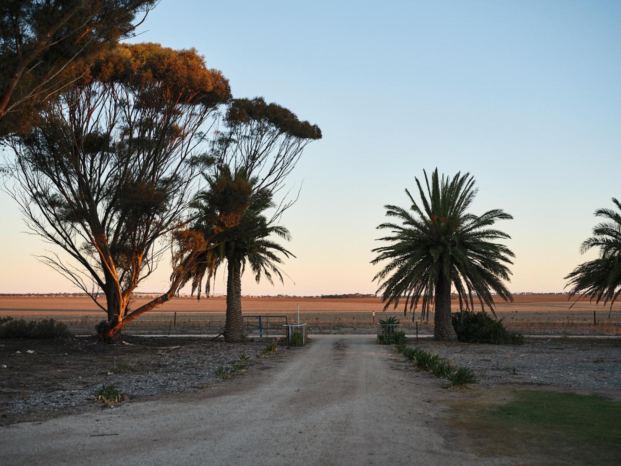 Forgo tten Paddock