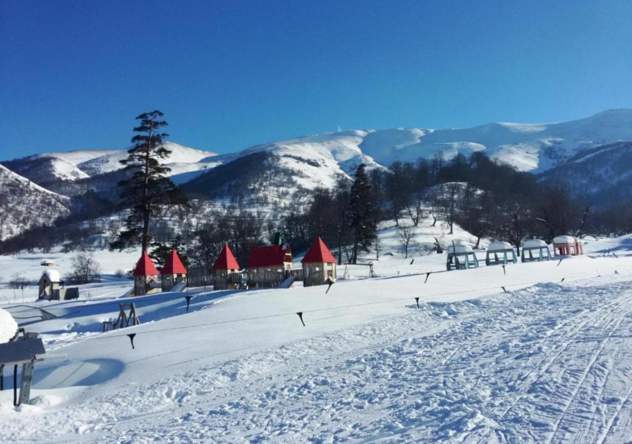 Bakuriani Holiday in Mgzavrebi