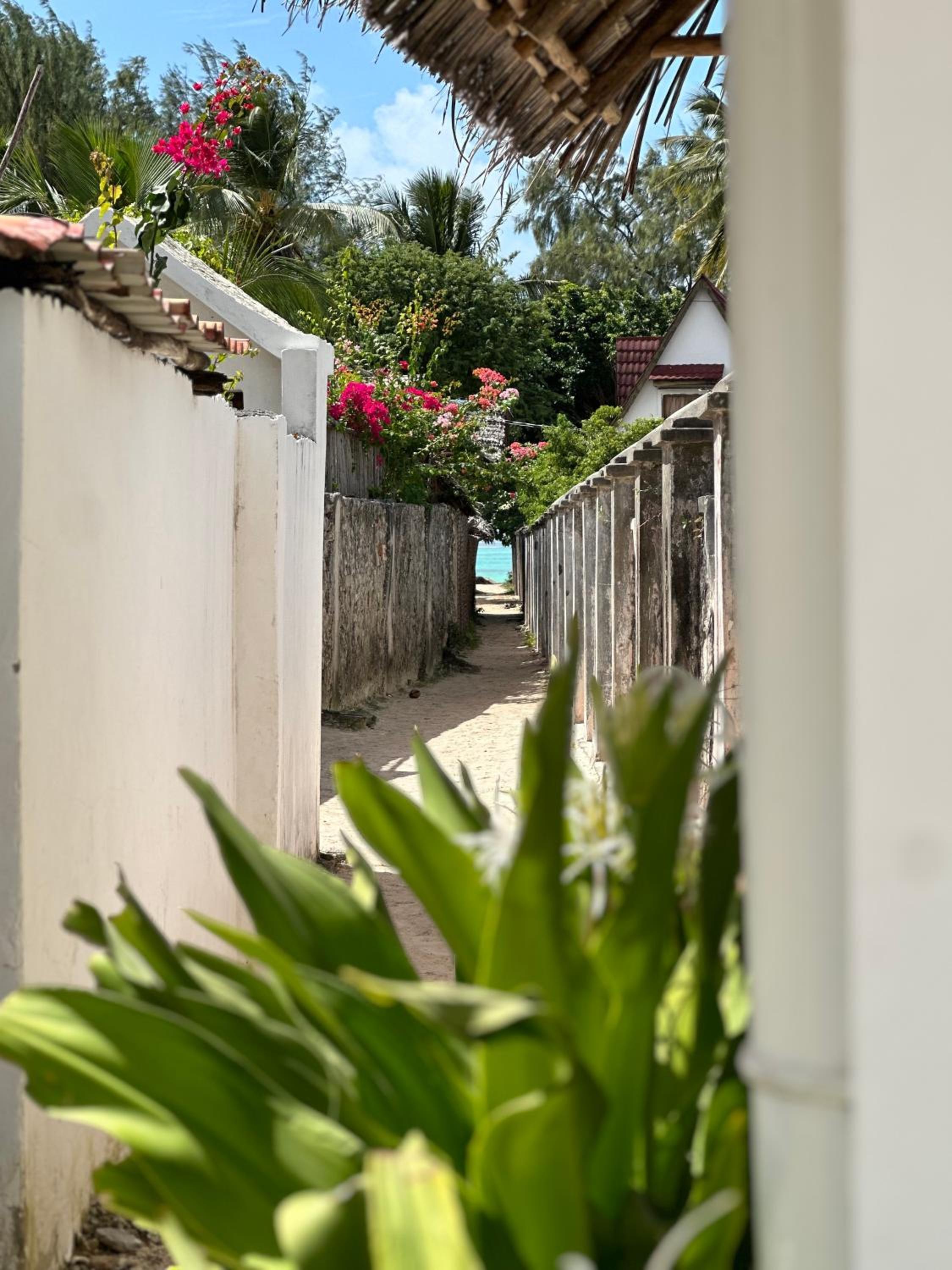 Mlango Paje Villa Boutique view 3