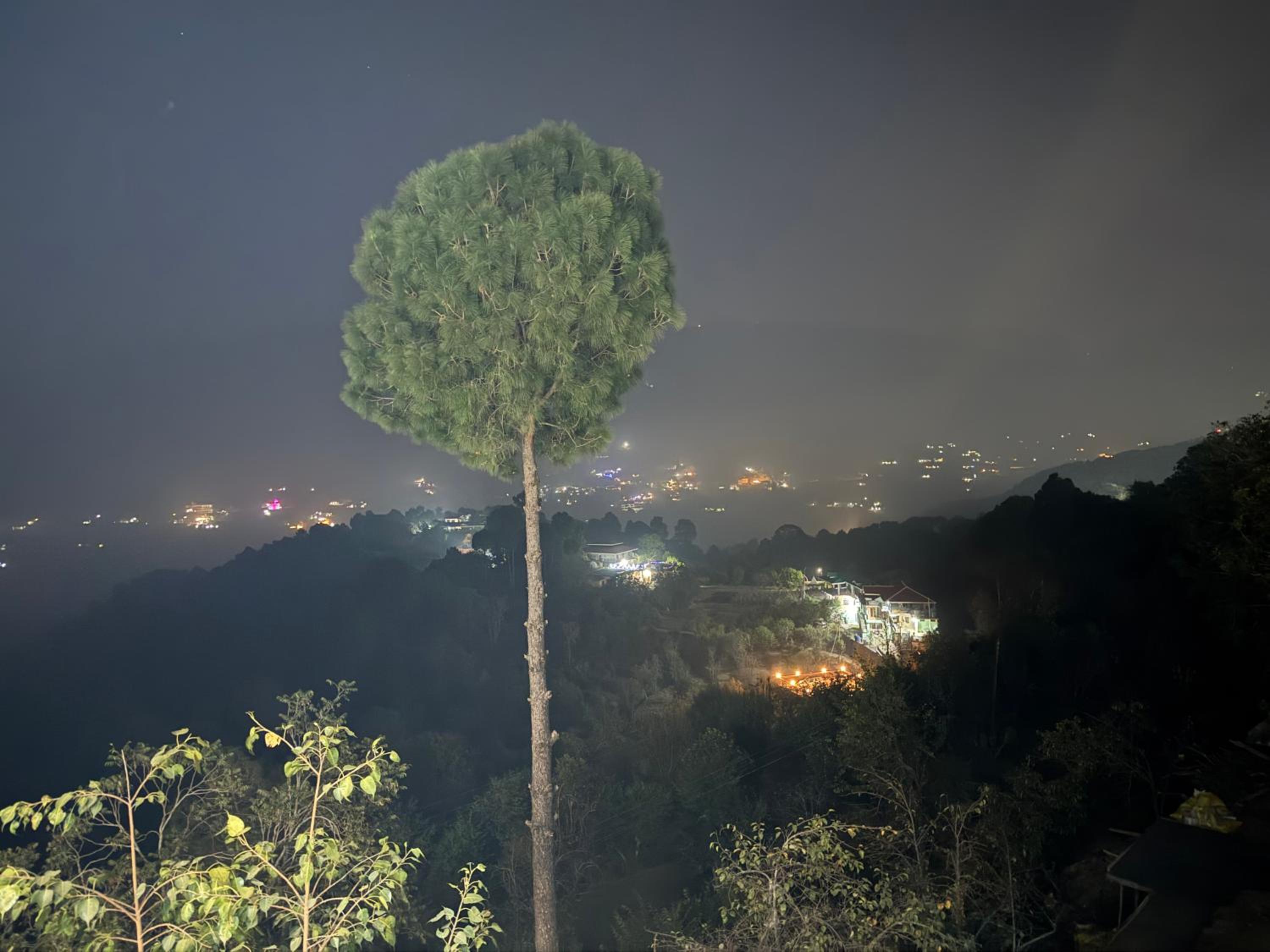 Kasauli Green View by Kasauli Vista view 4
