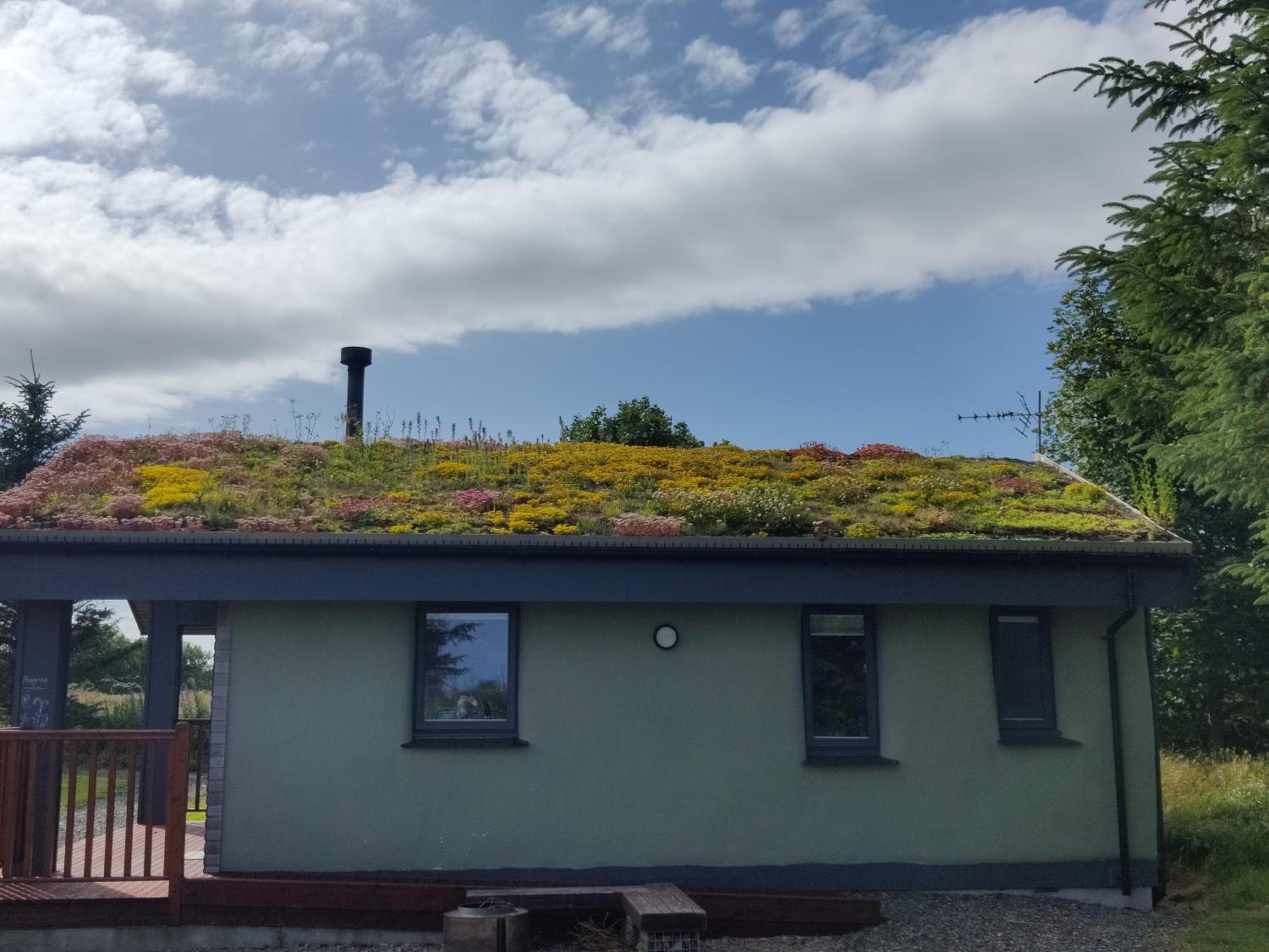 Wildflower Eco Lodges