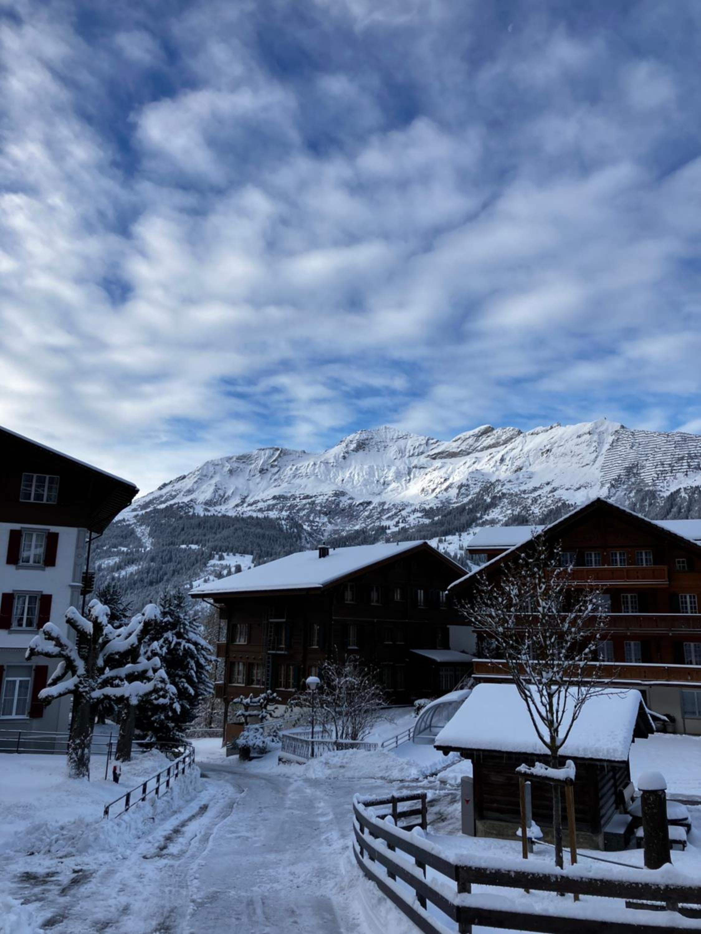 Chalet Alpina Gyger