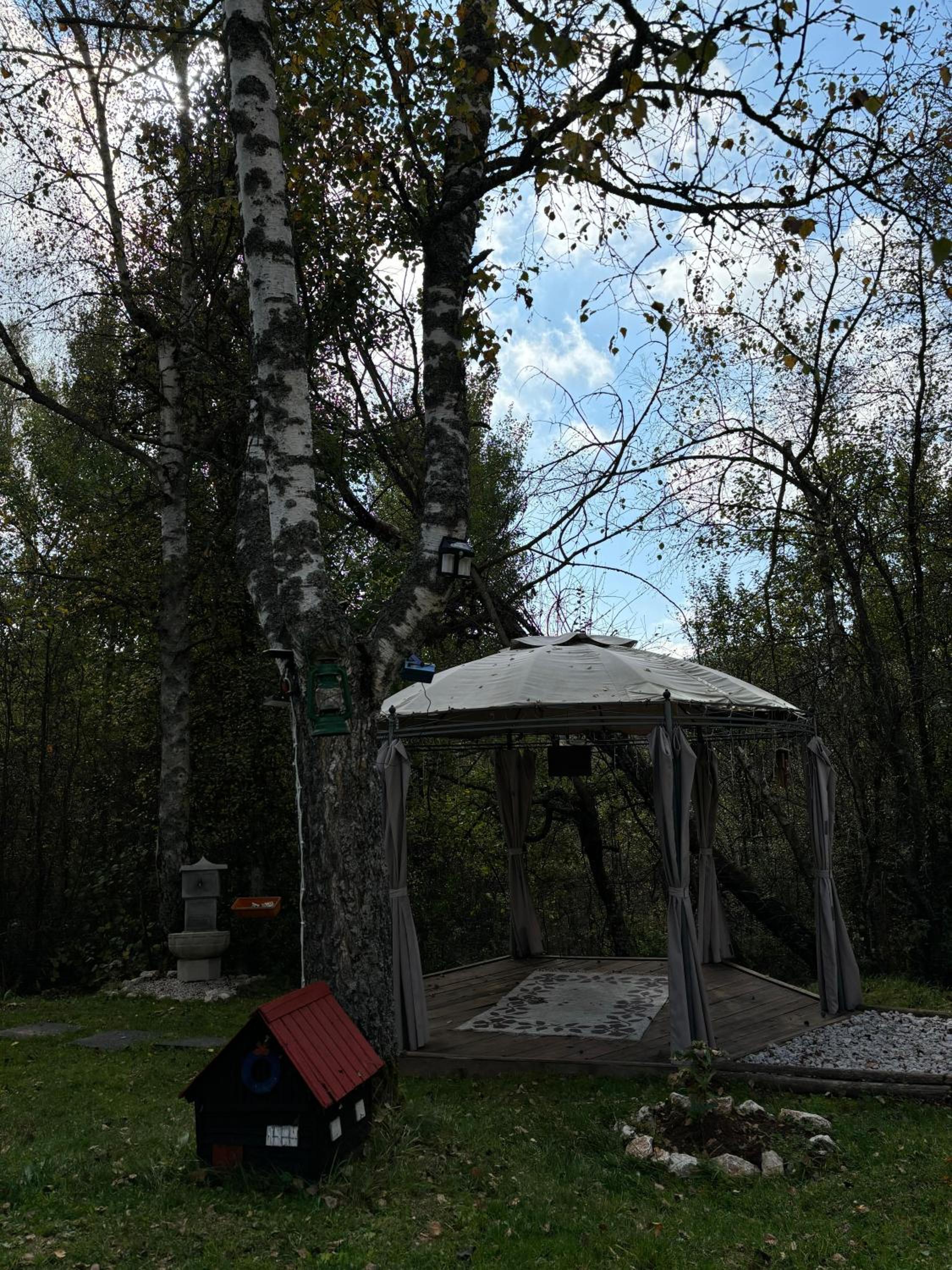 Forest Home