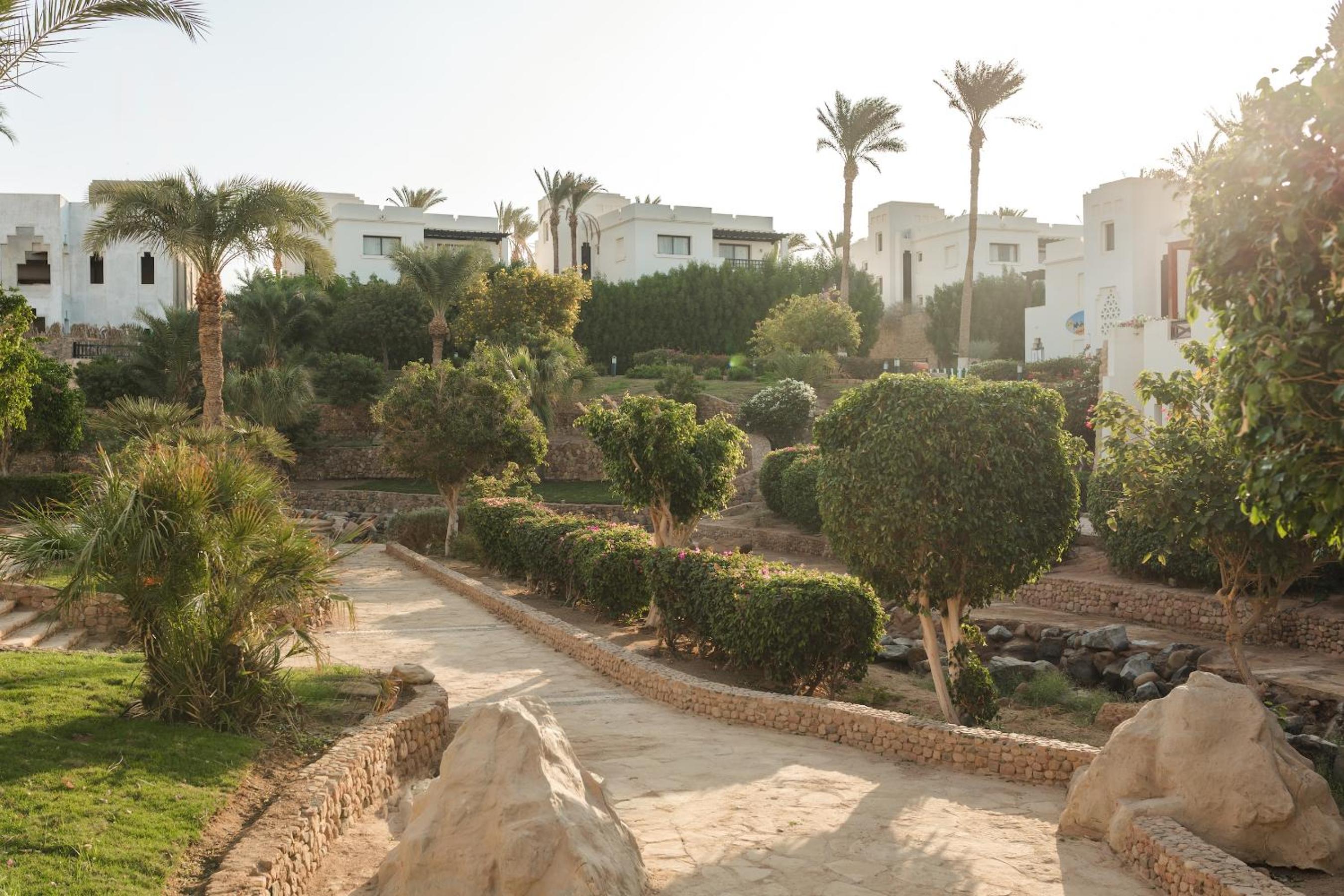 Sharm Resort