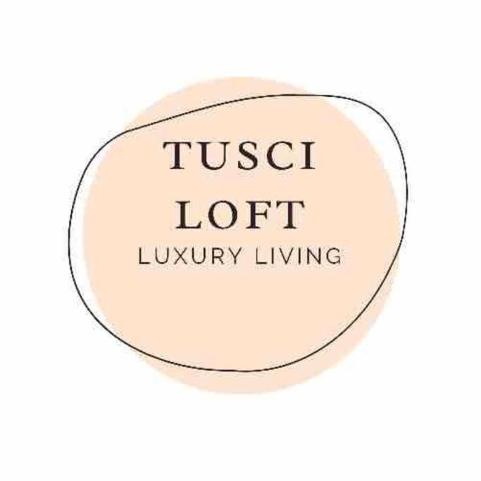 Tusci Loft San Gimignano A GEM in the CITY view 2