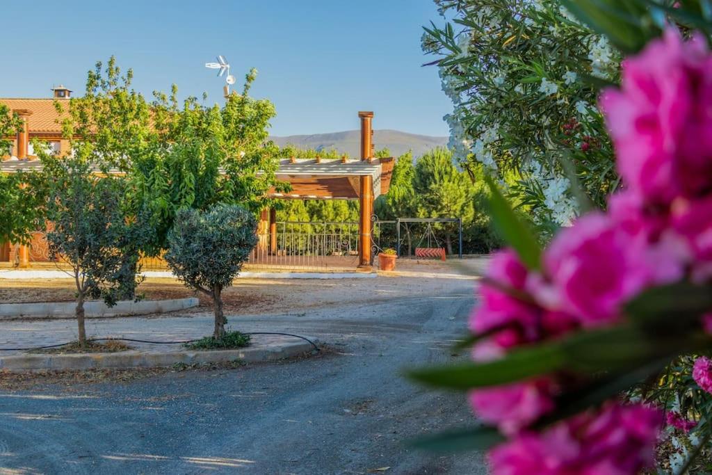 Casa Rural Tesorillo