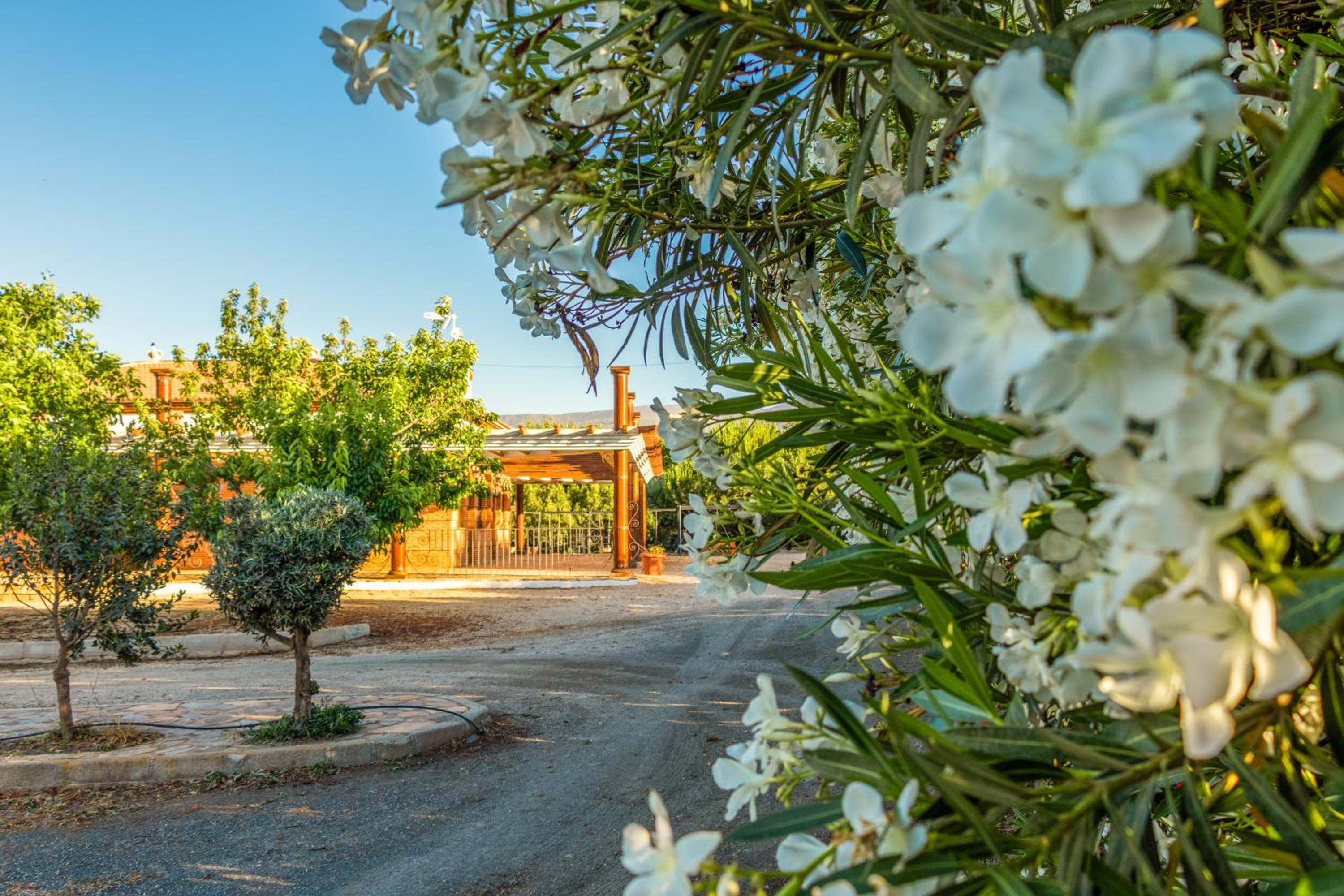 Casa Rural Tesorillo