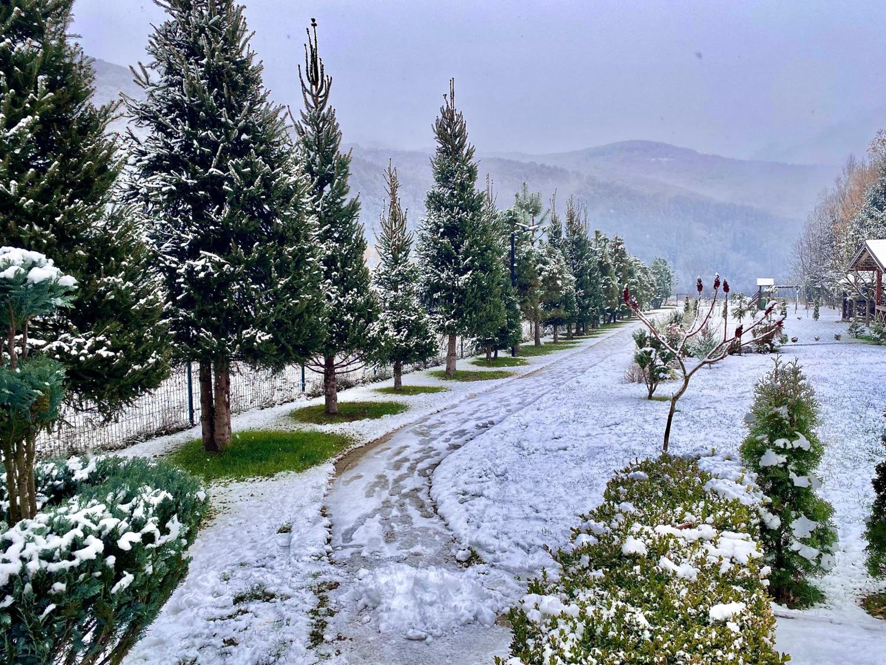 У Аліни view 4