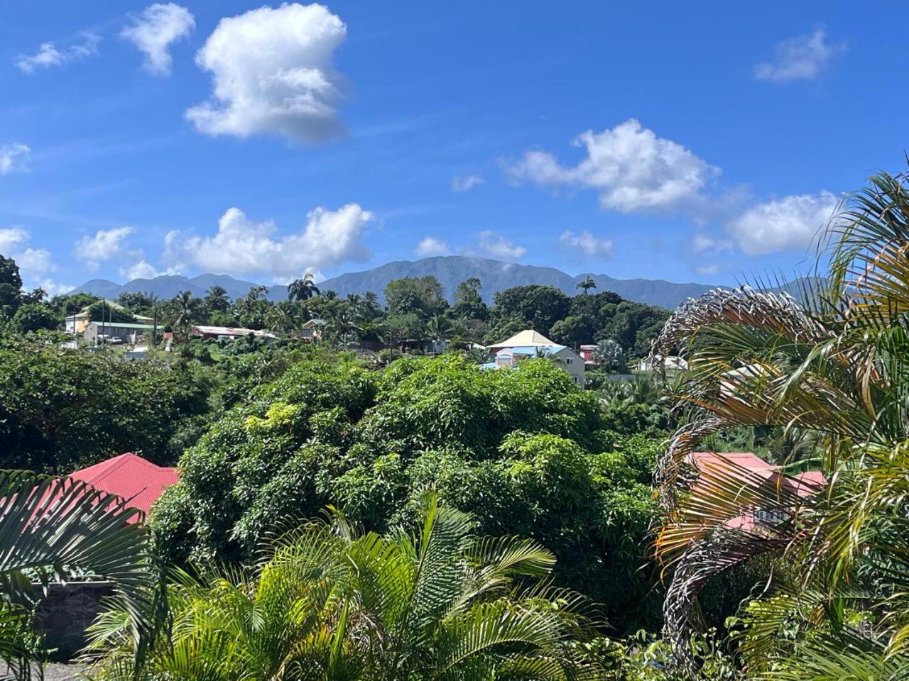 Orchidée Guadeloupe