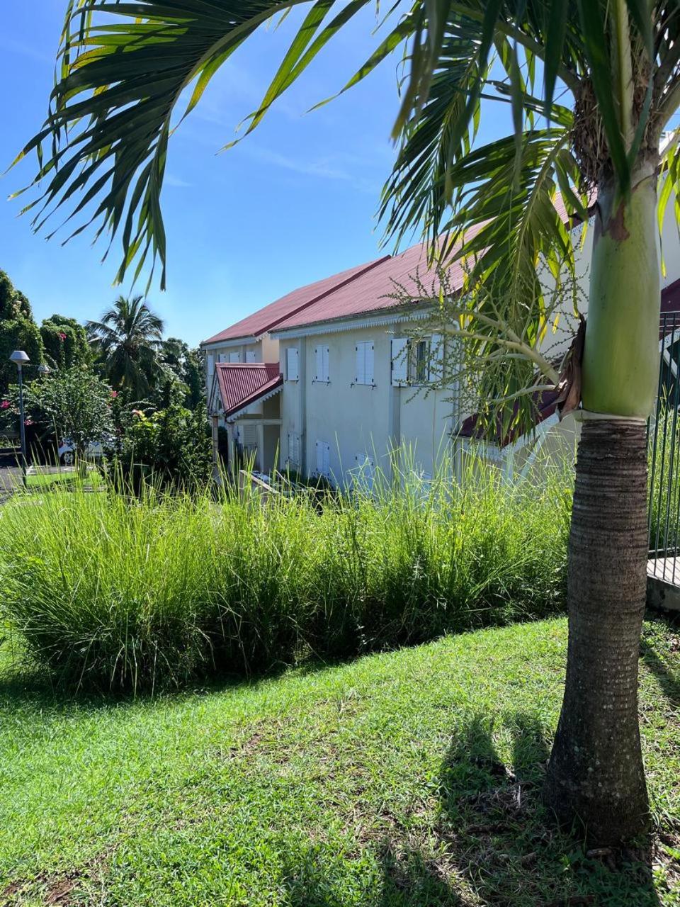 Orchidée Guadeloupe