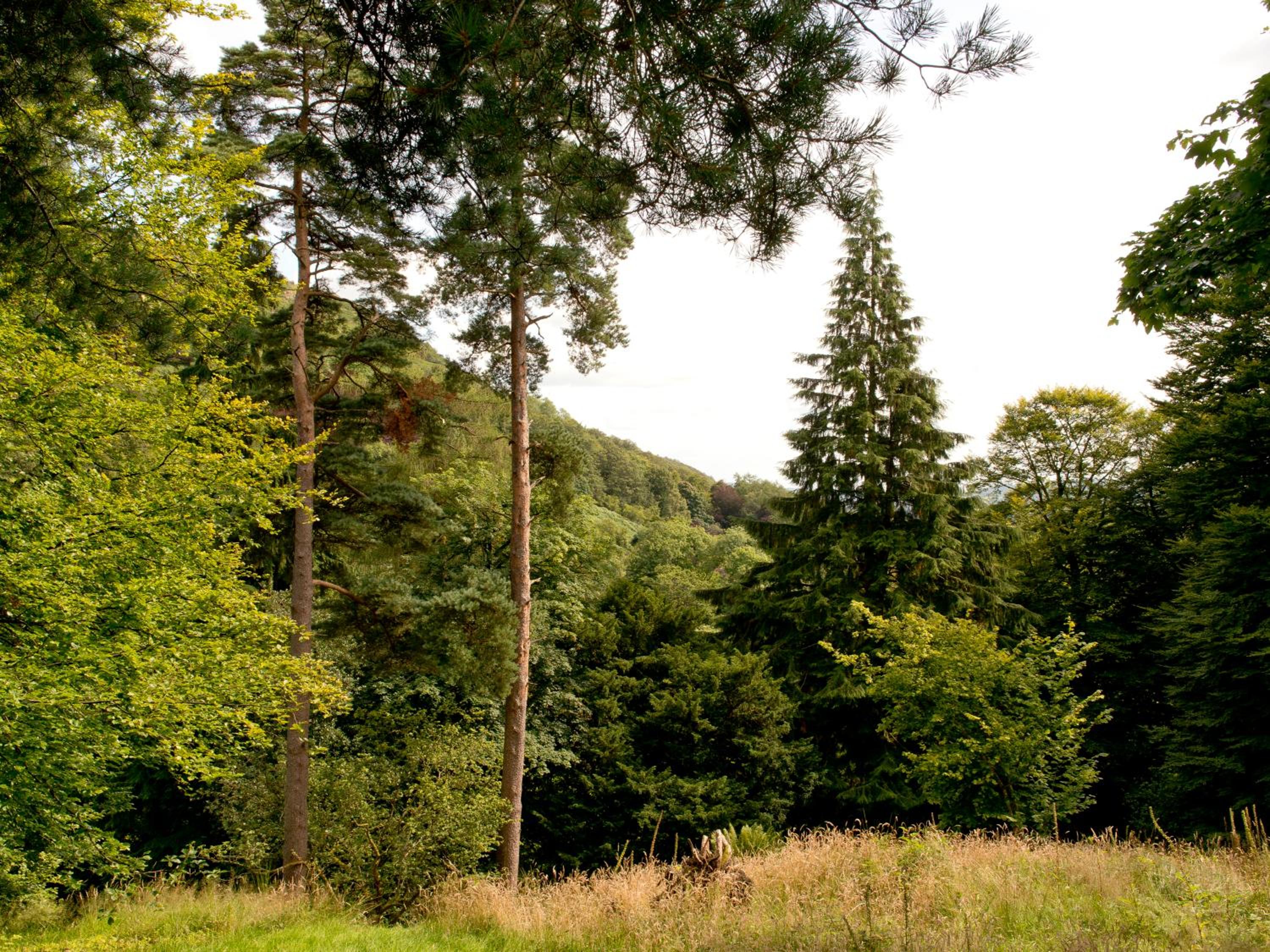 YHA Langdale