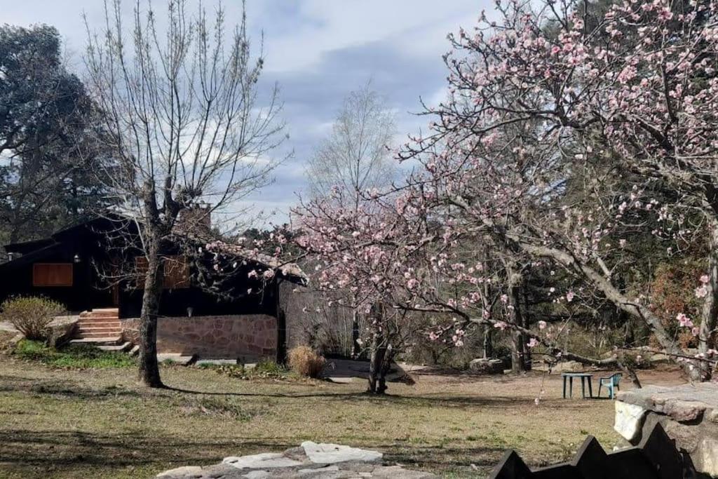 Los Búhos - Casa de Montaña