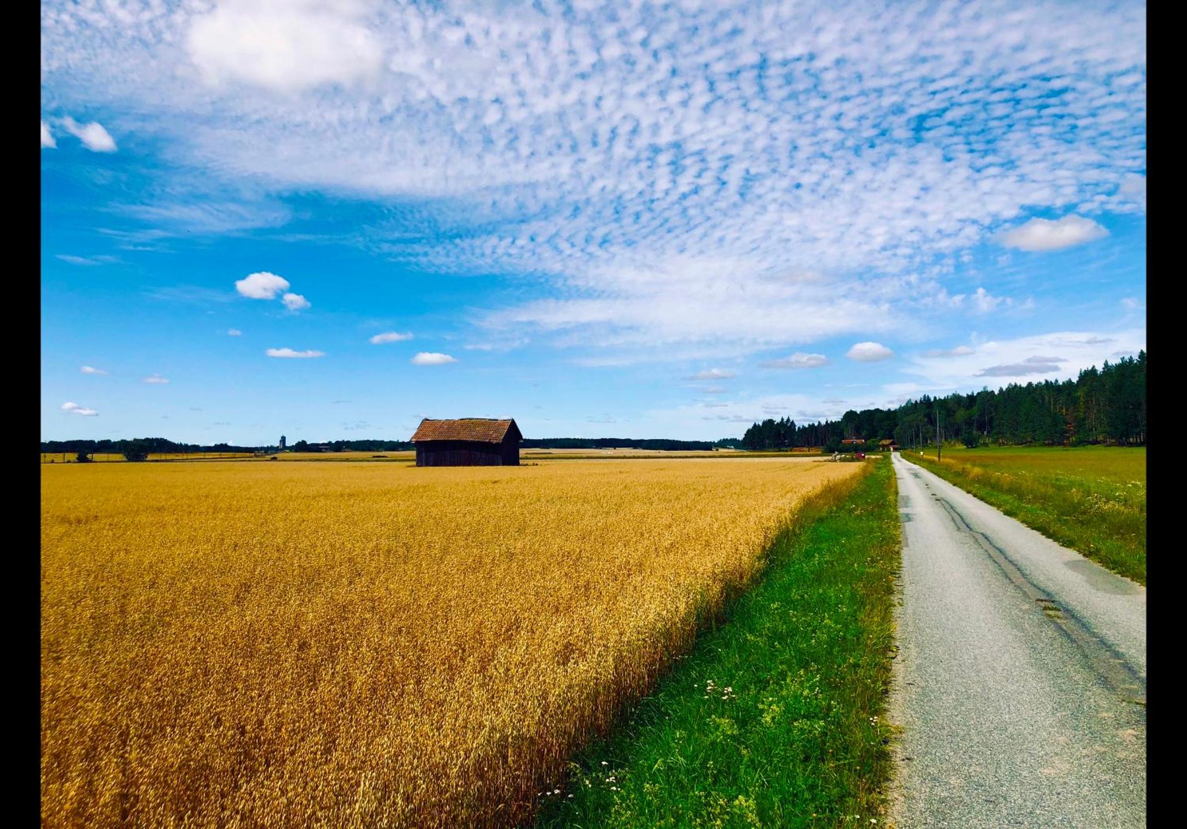 Villa Kolartorp