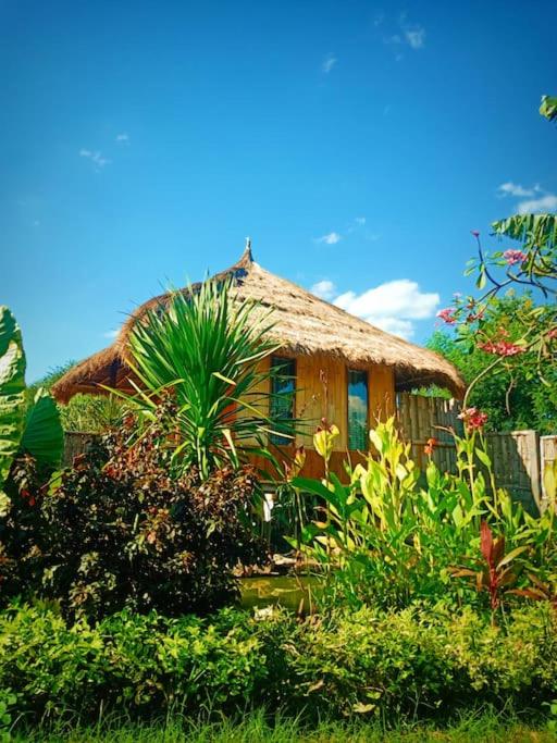 Umah Kayu 2-Menjangan Homestay view 2