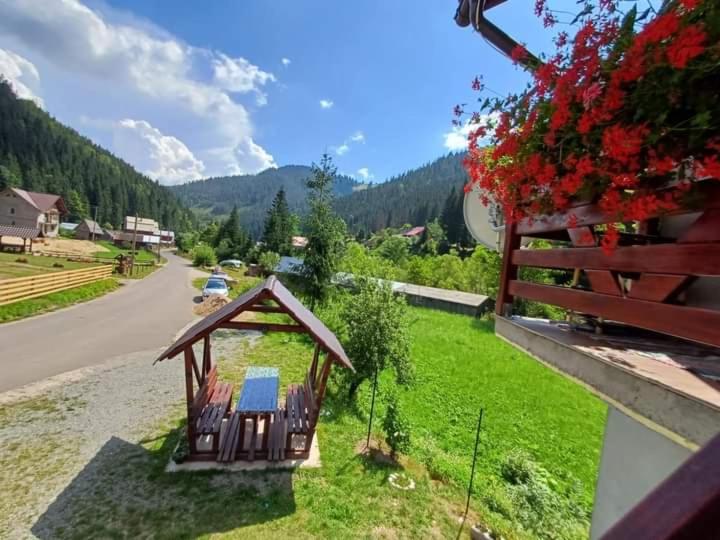 Cabana Acasă la Delia