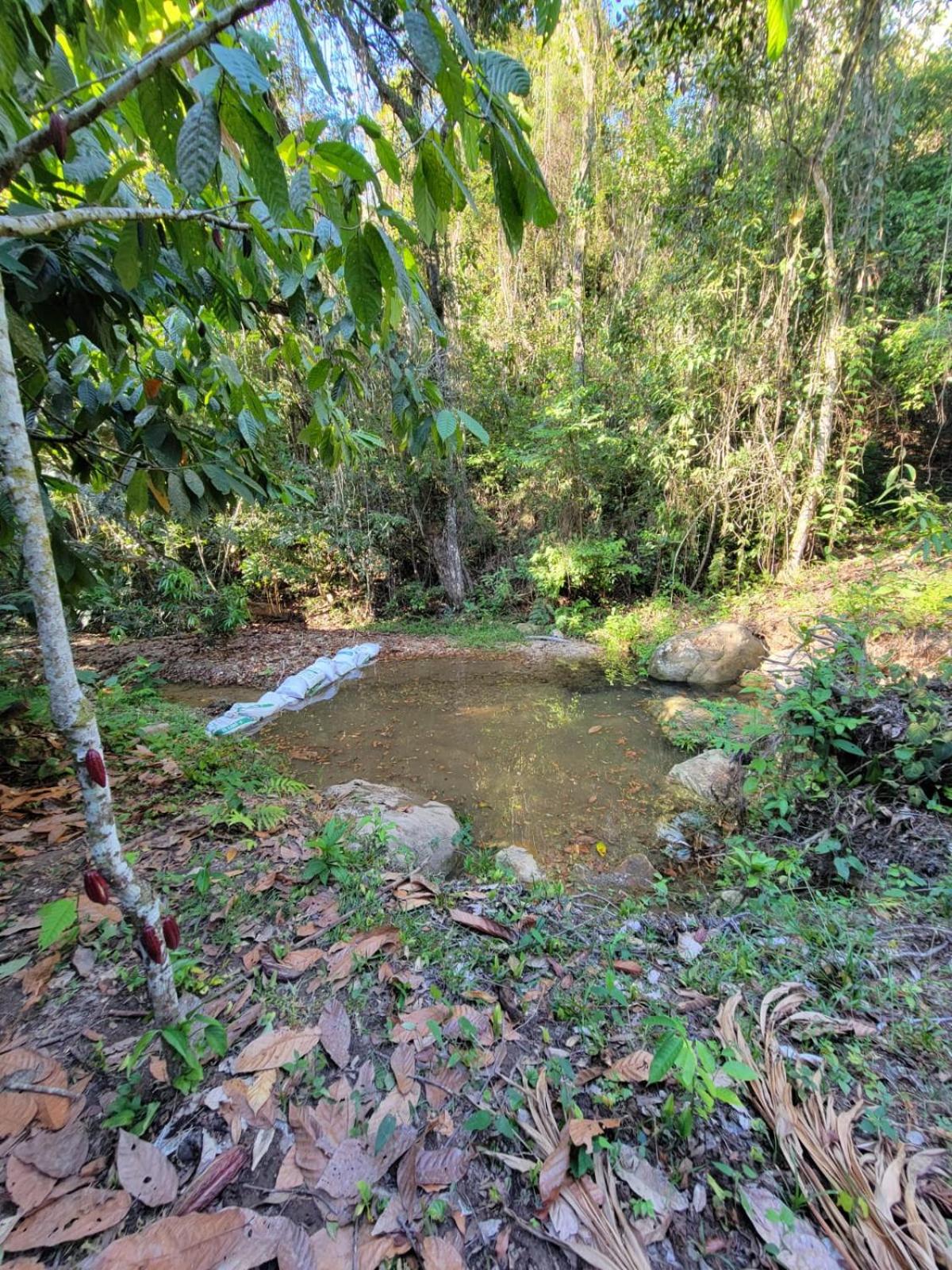 Reserva Natural Finca El paraiso