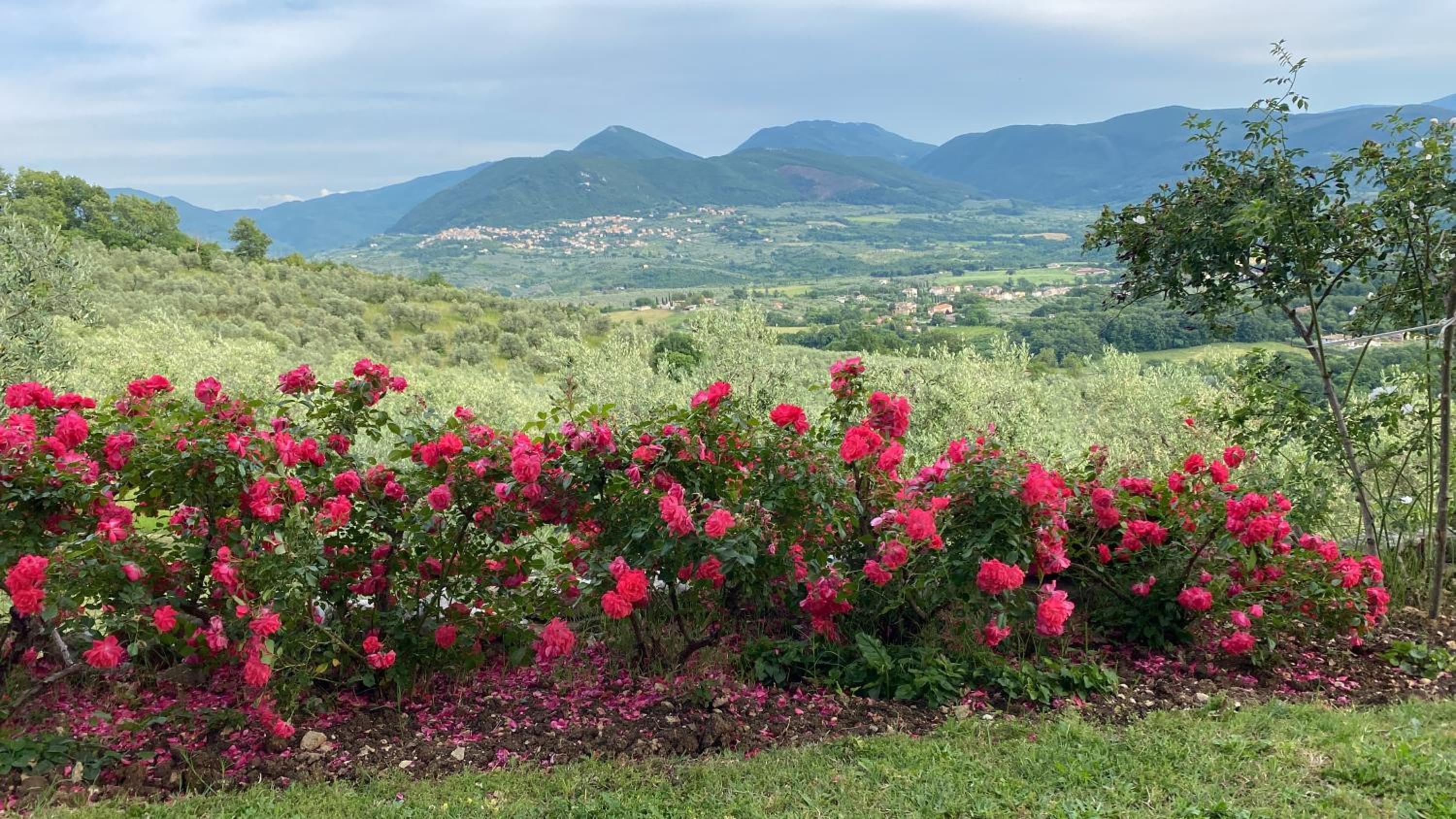 B&B da Odila view 2