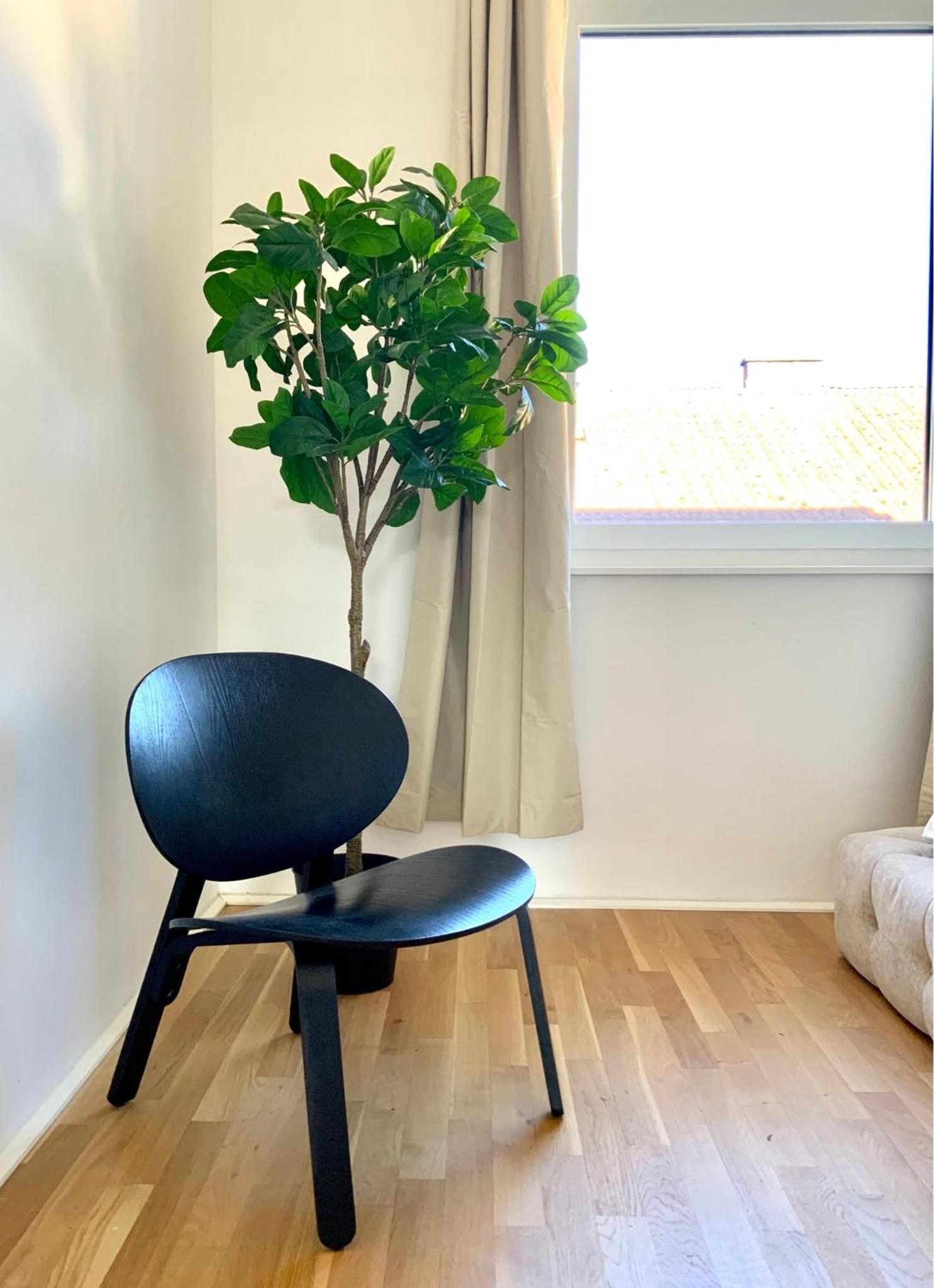 Exclusive neue Wohnung Top 8