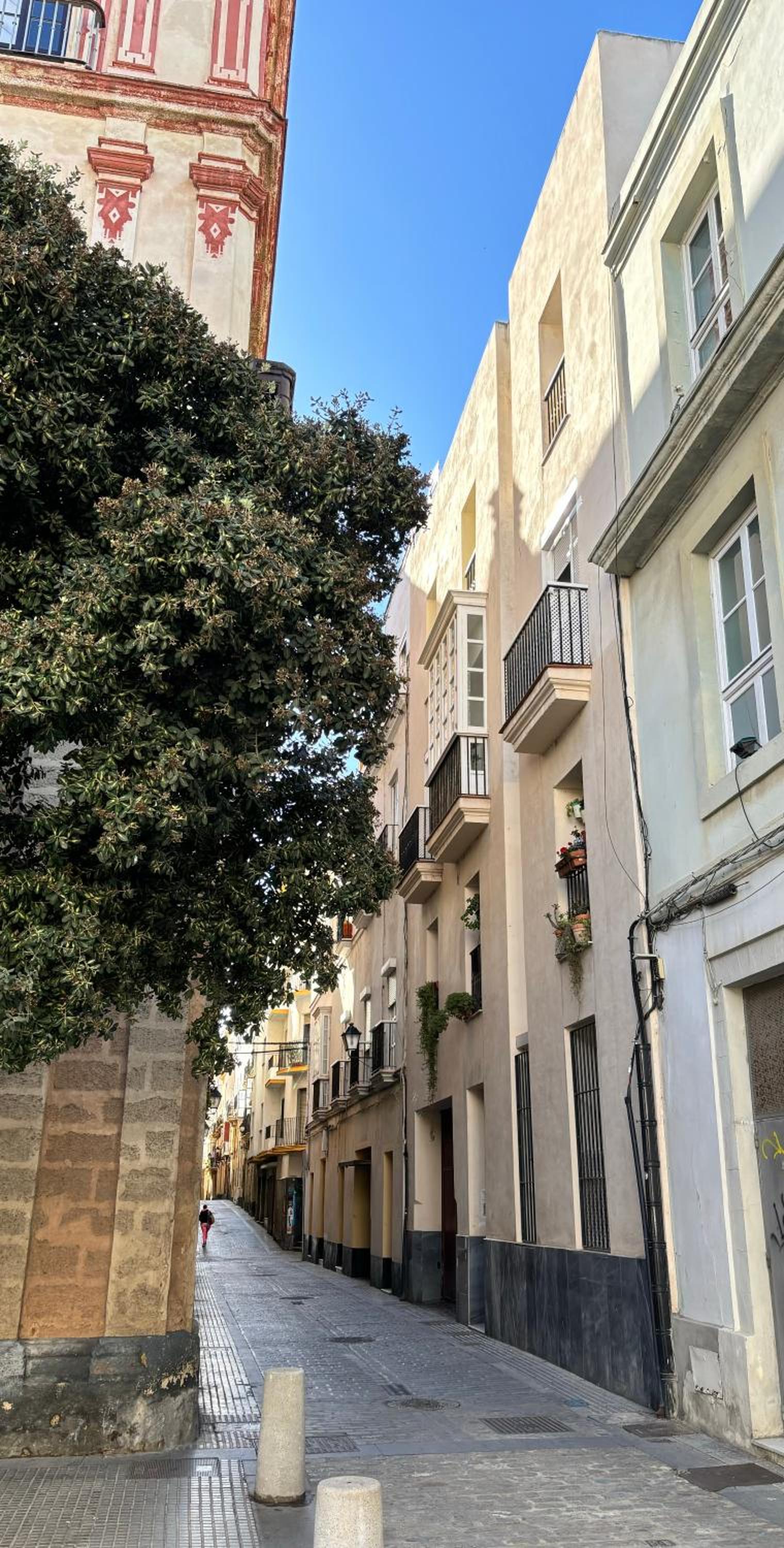 LUMINOSO APARTAMENTO en el centro de Cádiz view 4