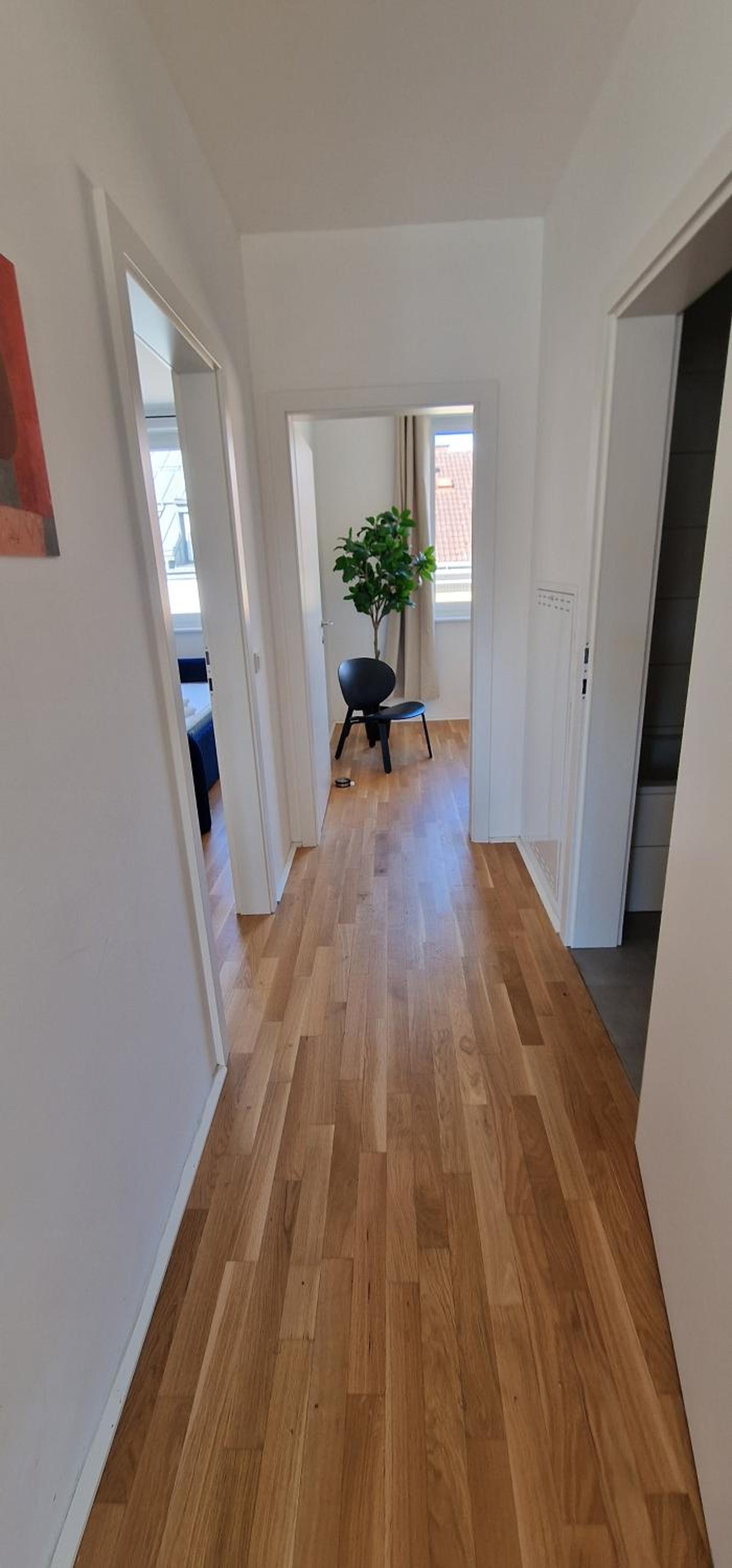 Exclusive neue Wohnung Top 8