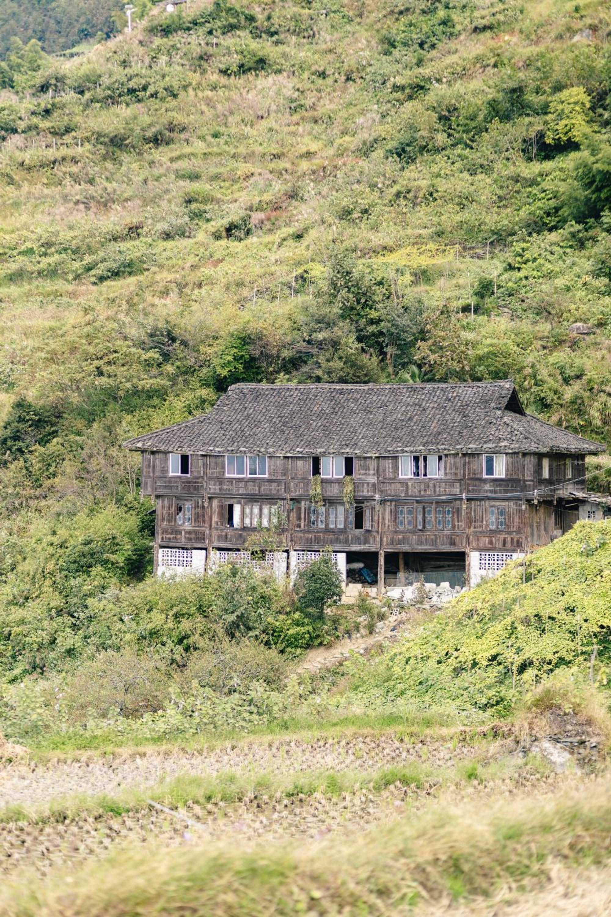 Rice View Lodge