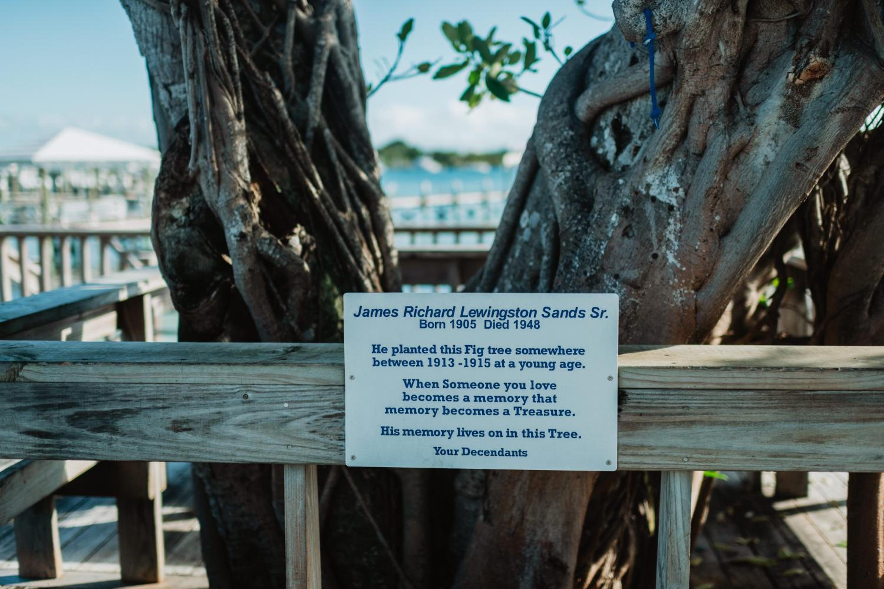 Guana Beach Inn