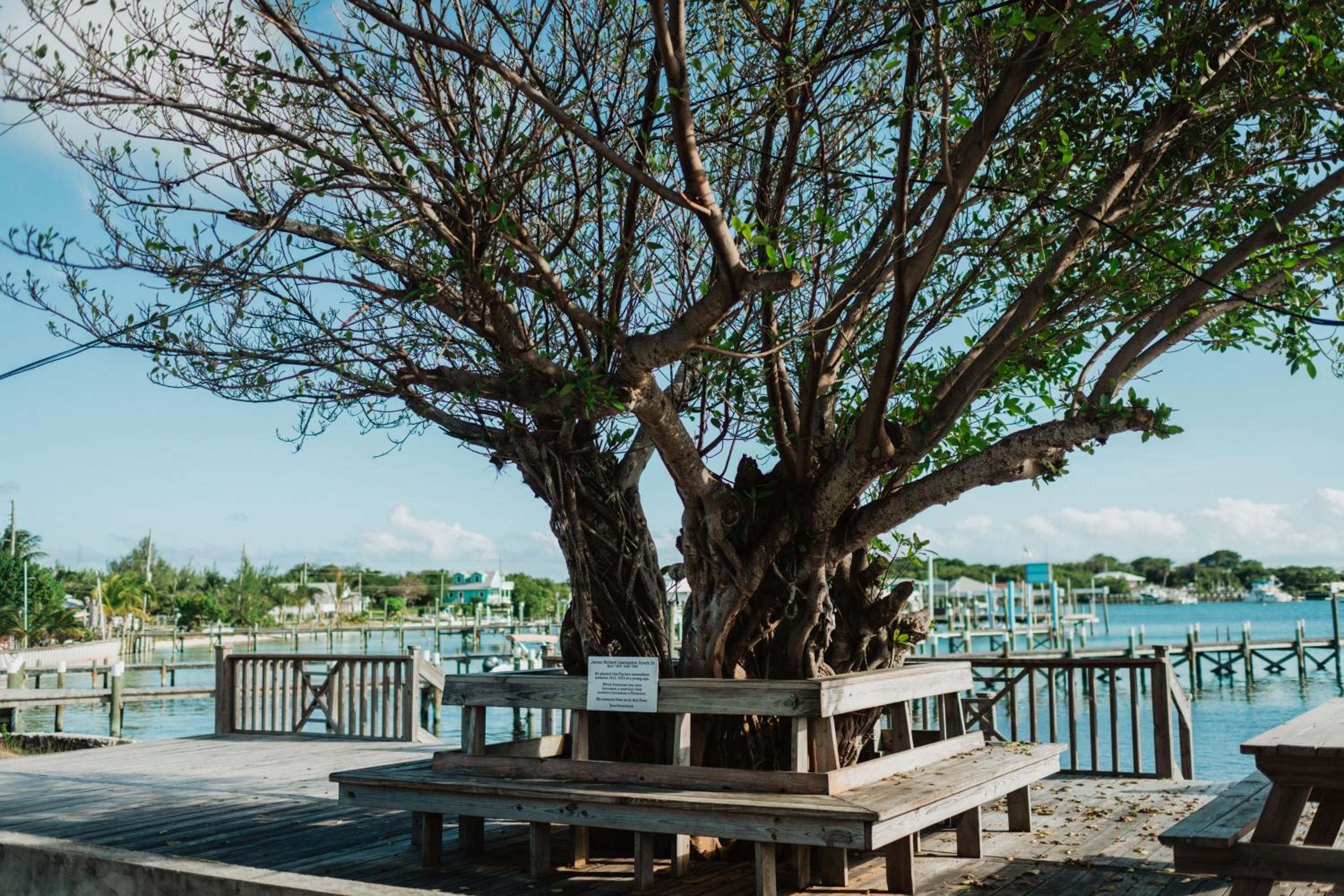 Guana Beach Inn