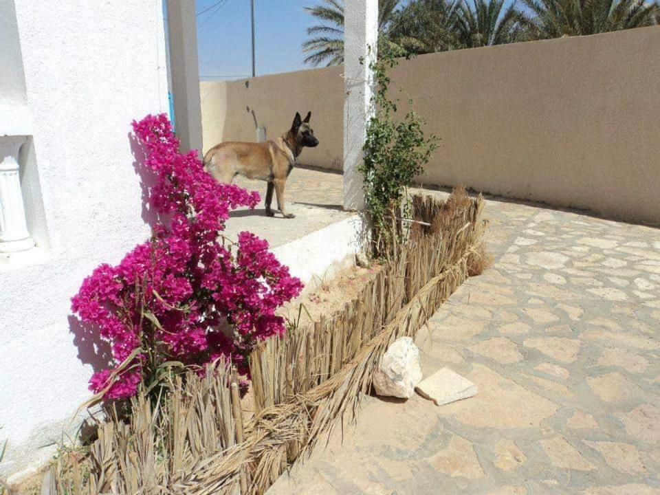 Photo 17