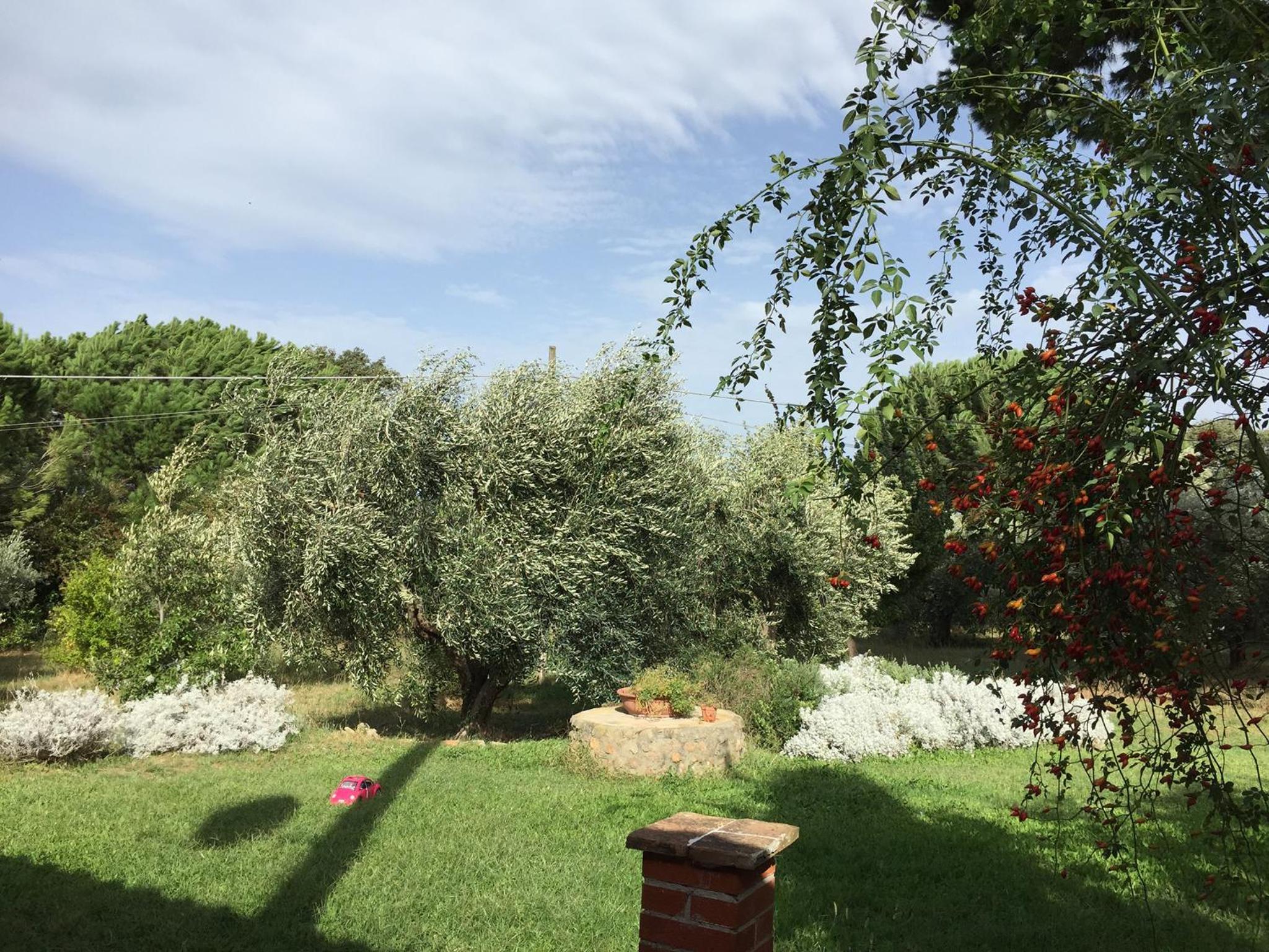 Casale Ai Poggi view 3