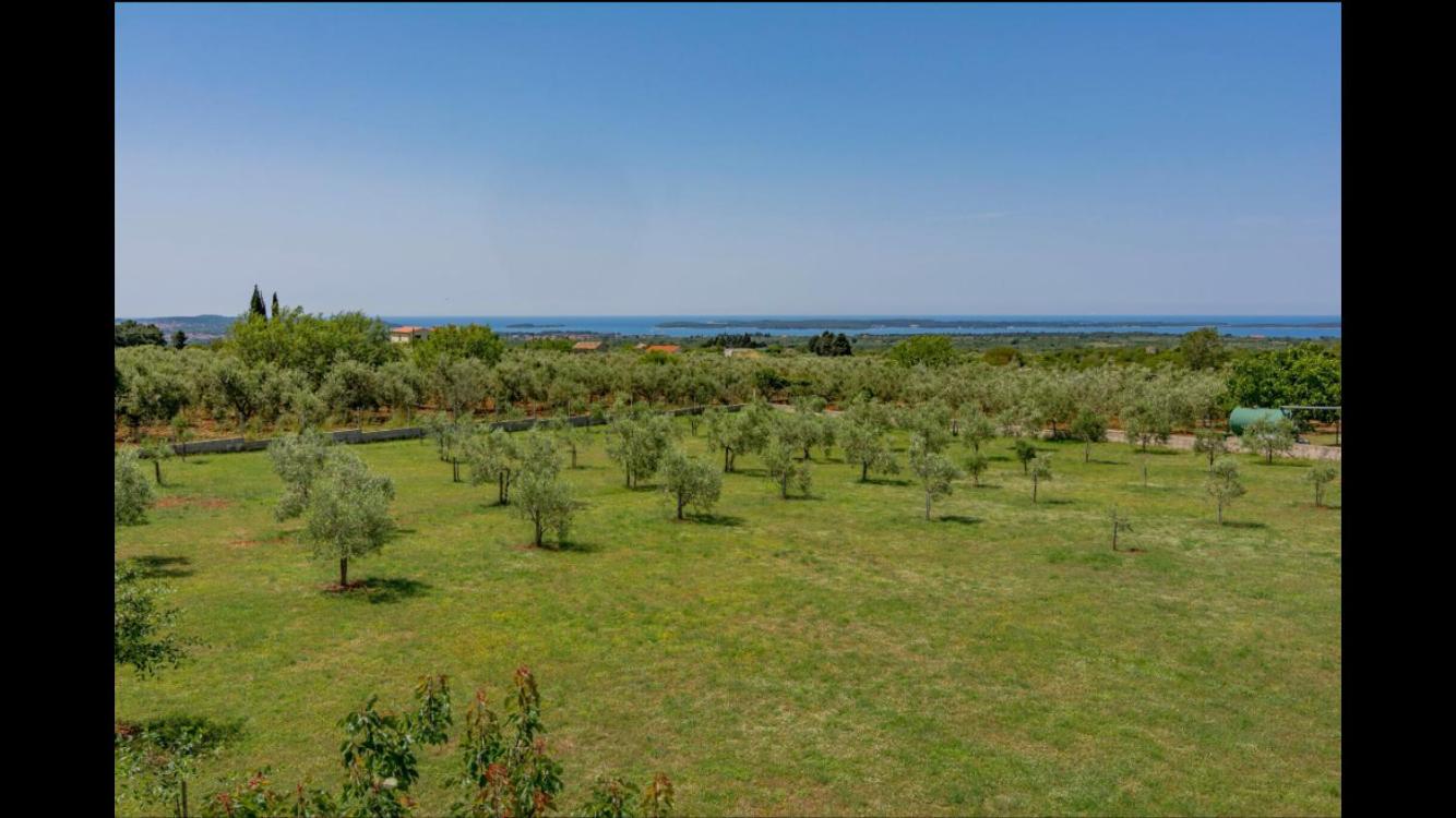 Vila Aleksandra