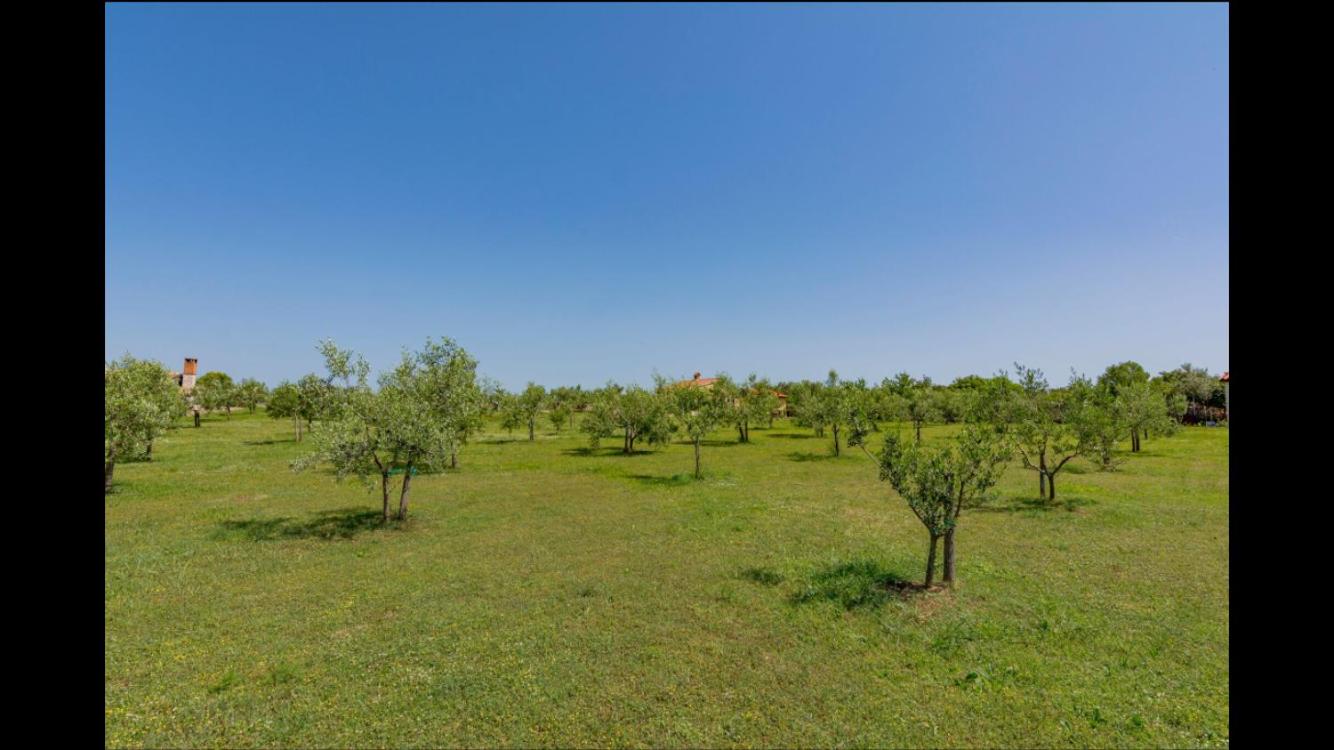 Vila Aleksandra