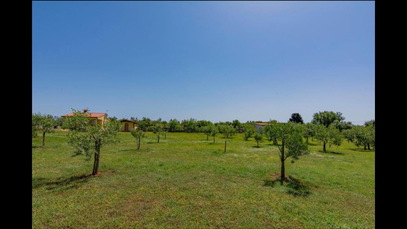 Vila Aleksandra