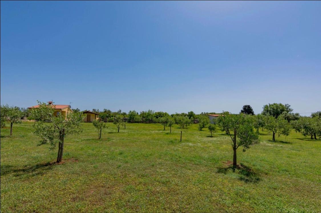 Vila Aleksandra