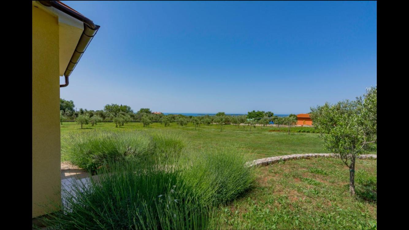 Vila Aleksandra
