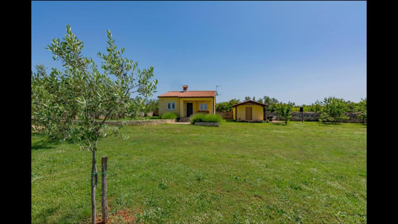 Vila Aleksandra