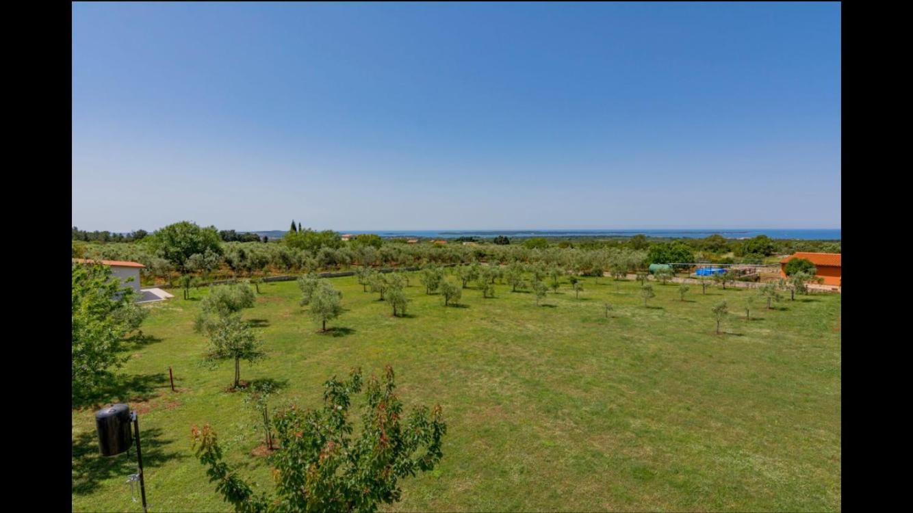 Vila Aleksandra
